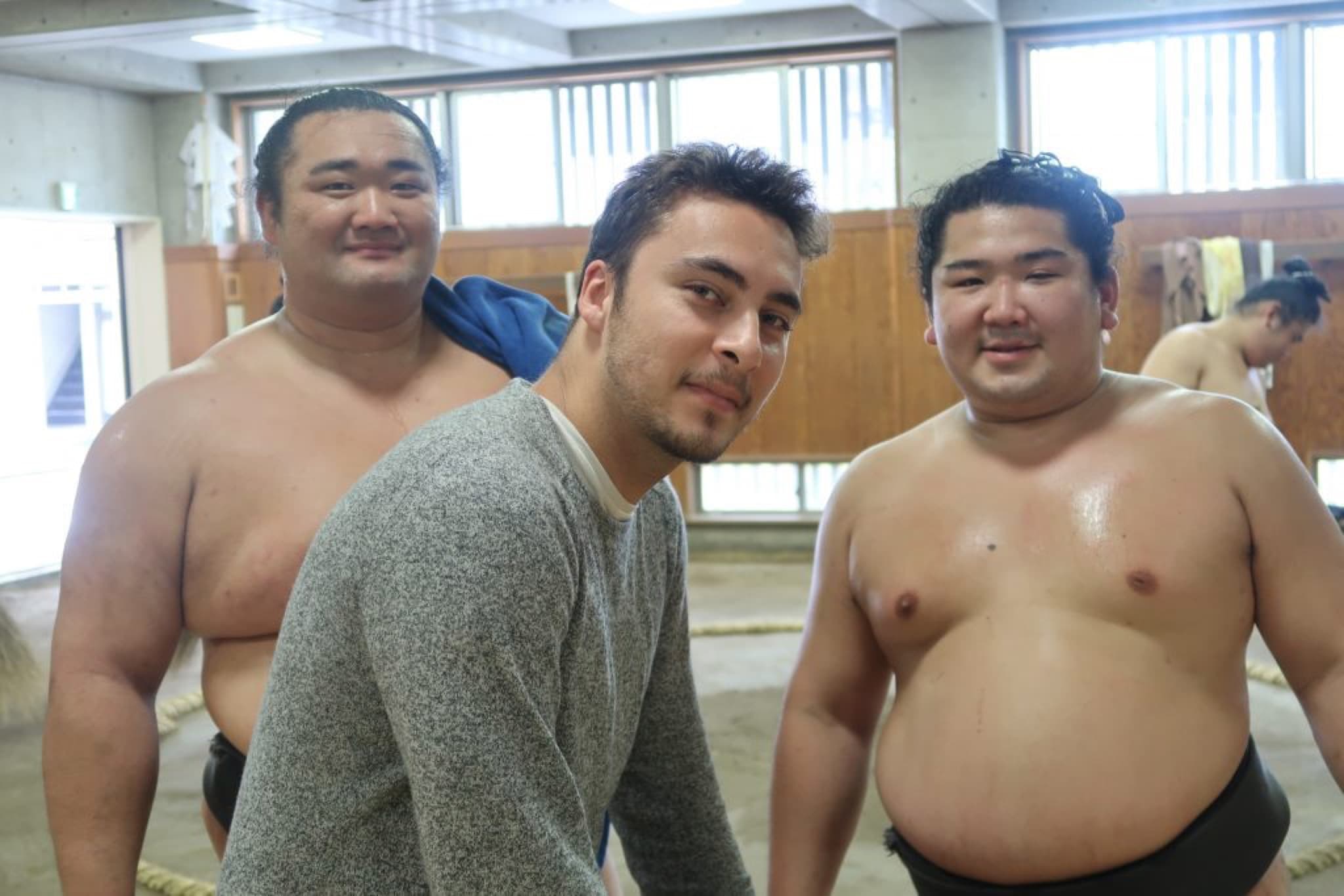 voir du sumo
