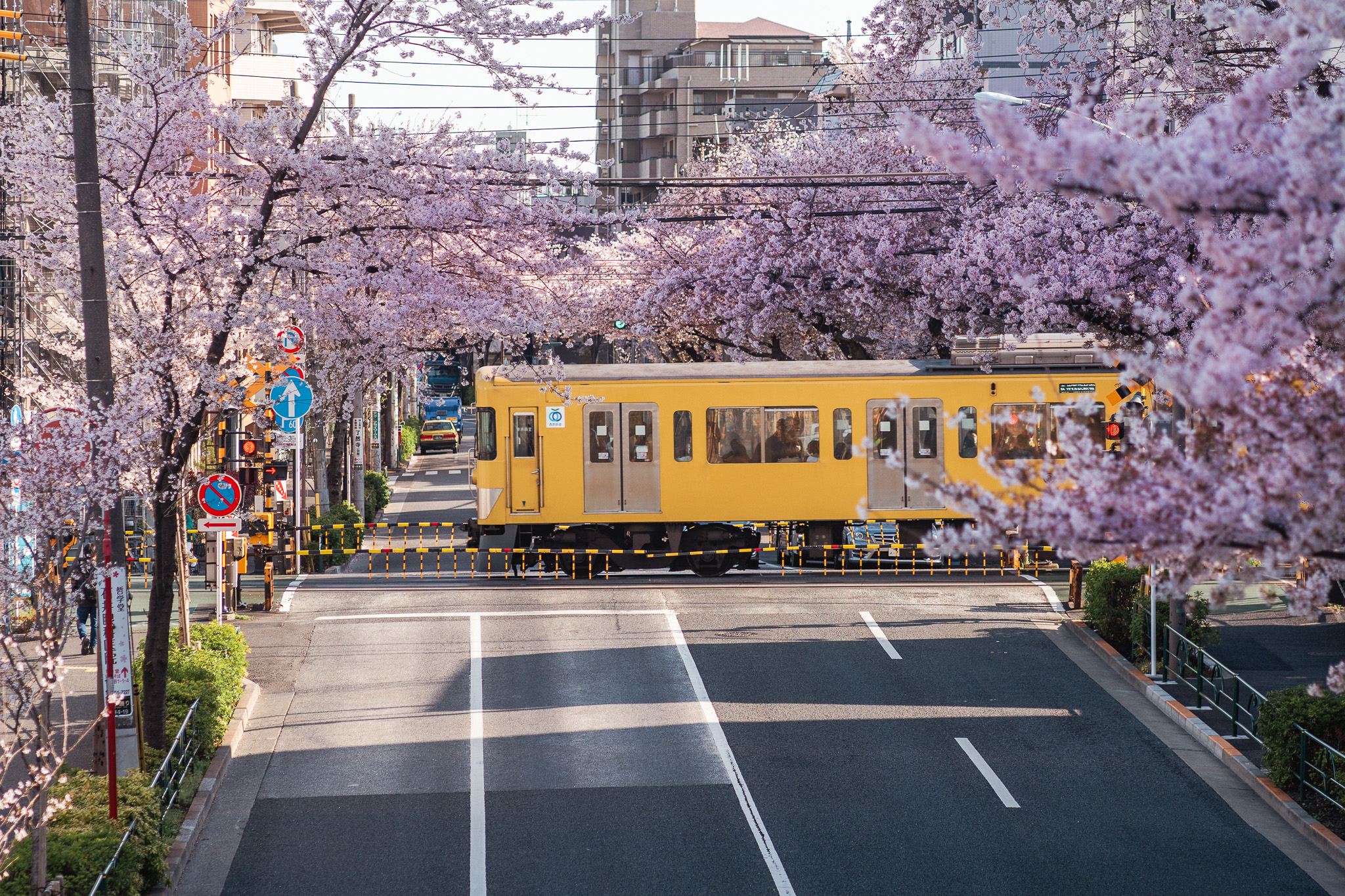 Les Meilleures Et Pires Saisons Pour Voyager Au Japon Ichiban Japan