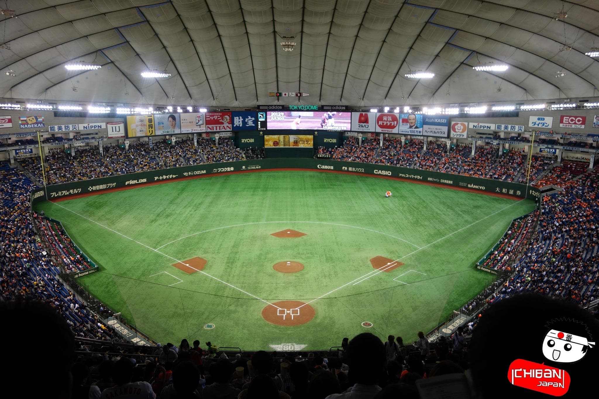 tokyo dome baseball
