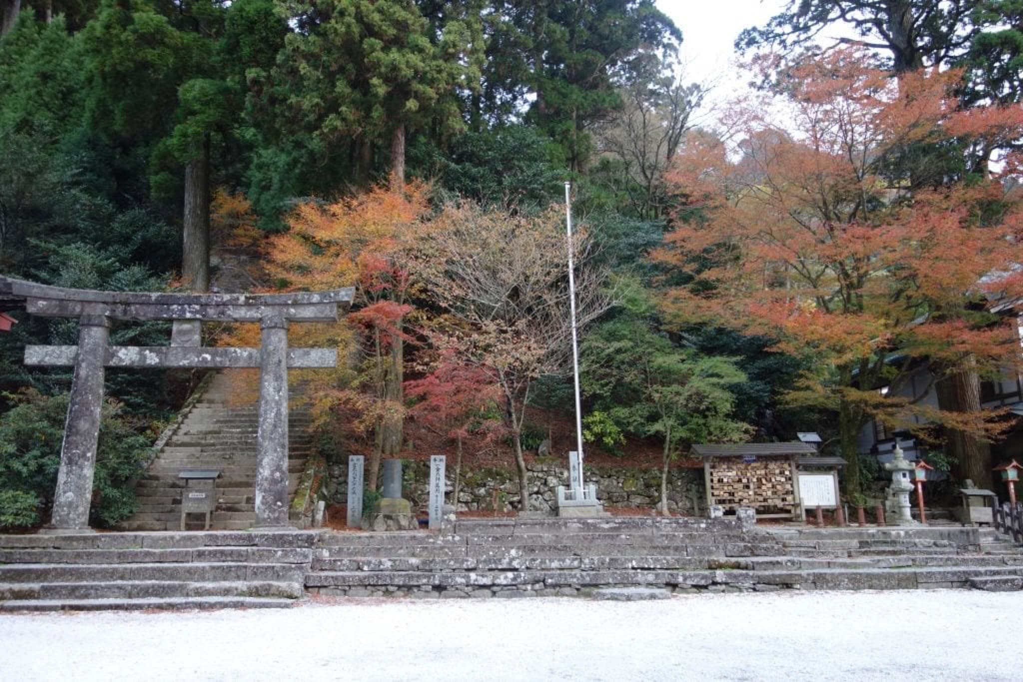 hiko san