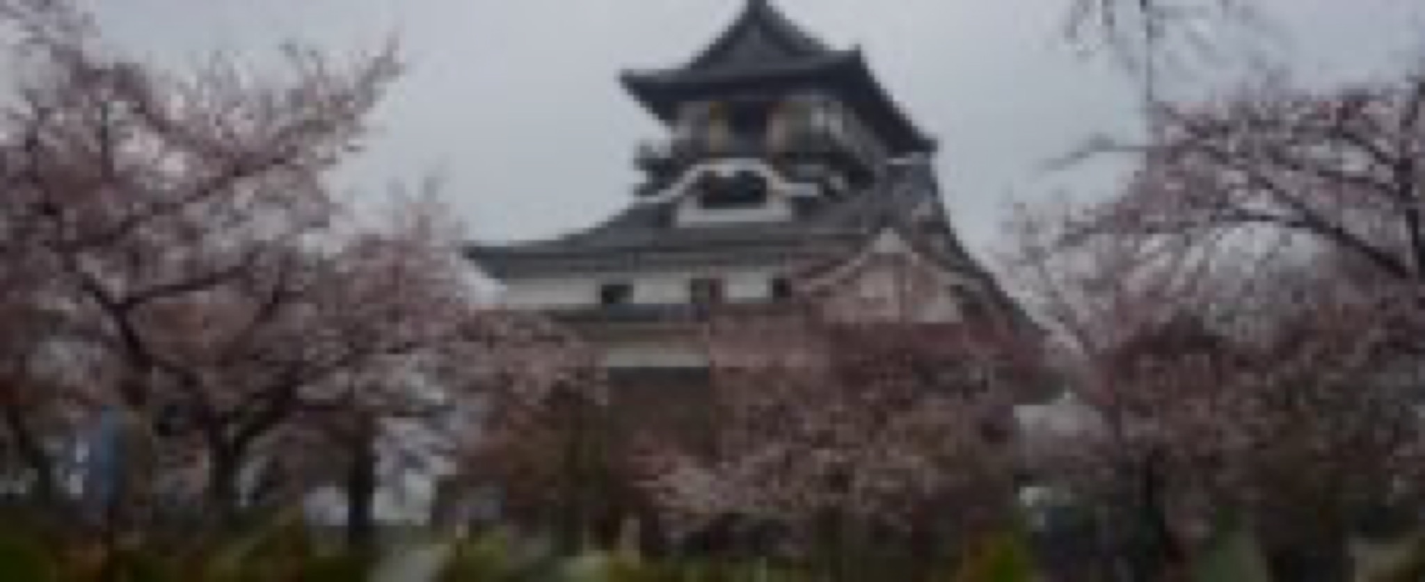 chateau d’inuyama
