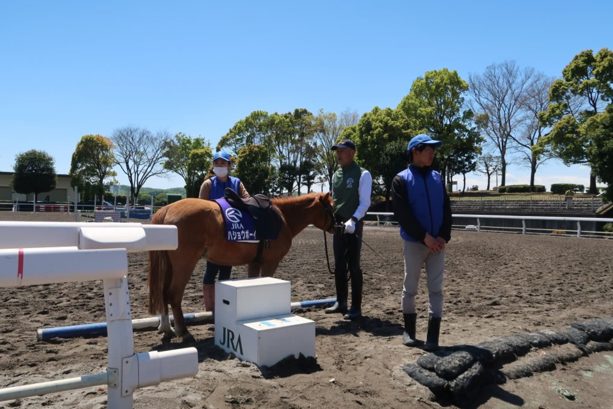 cheval japonais