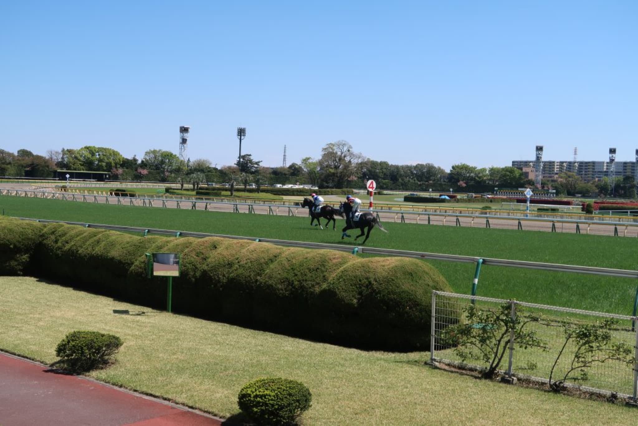 course de chevaux japon