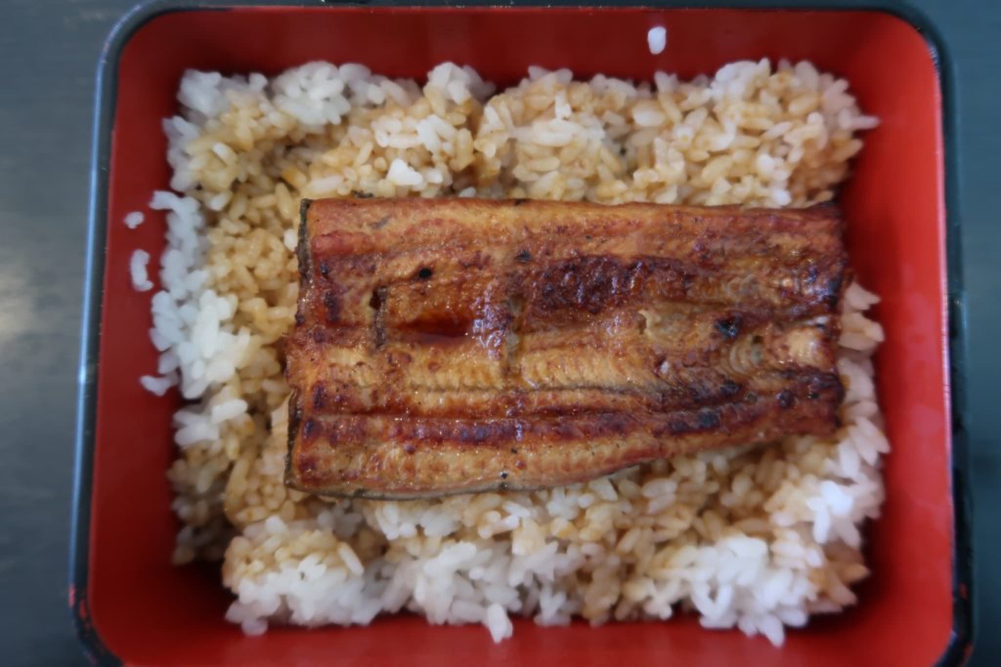 unagidon