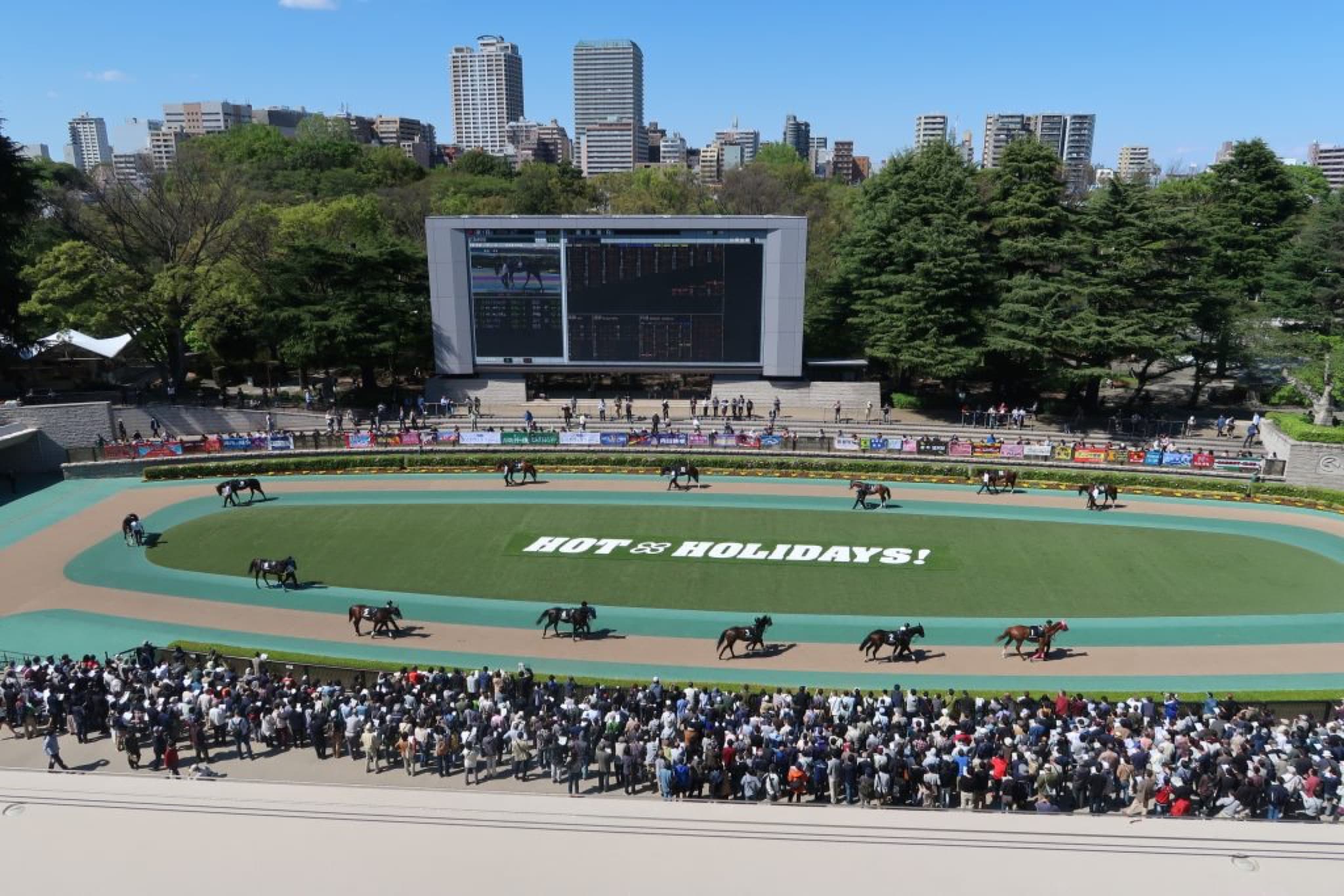 course hippique japon