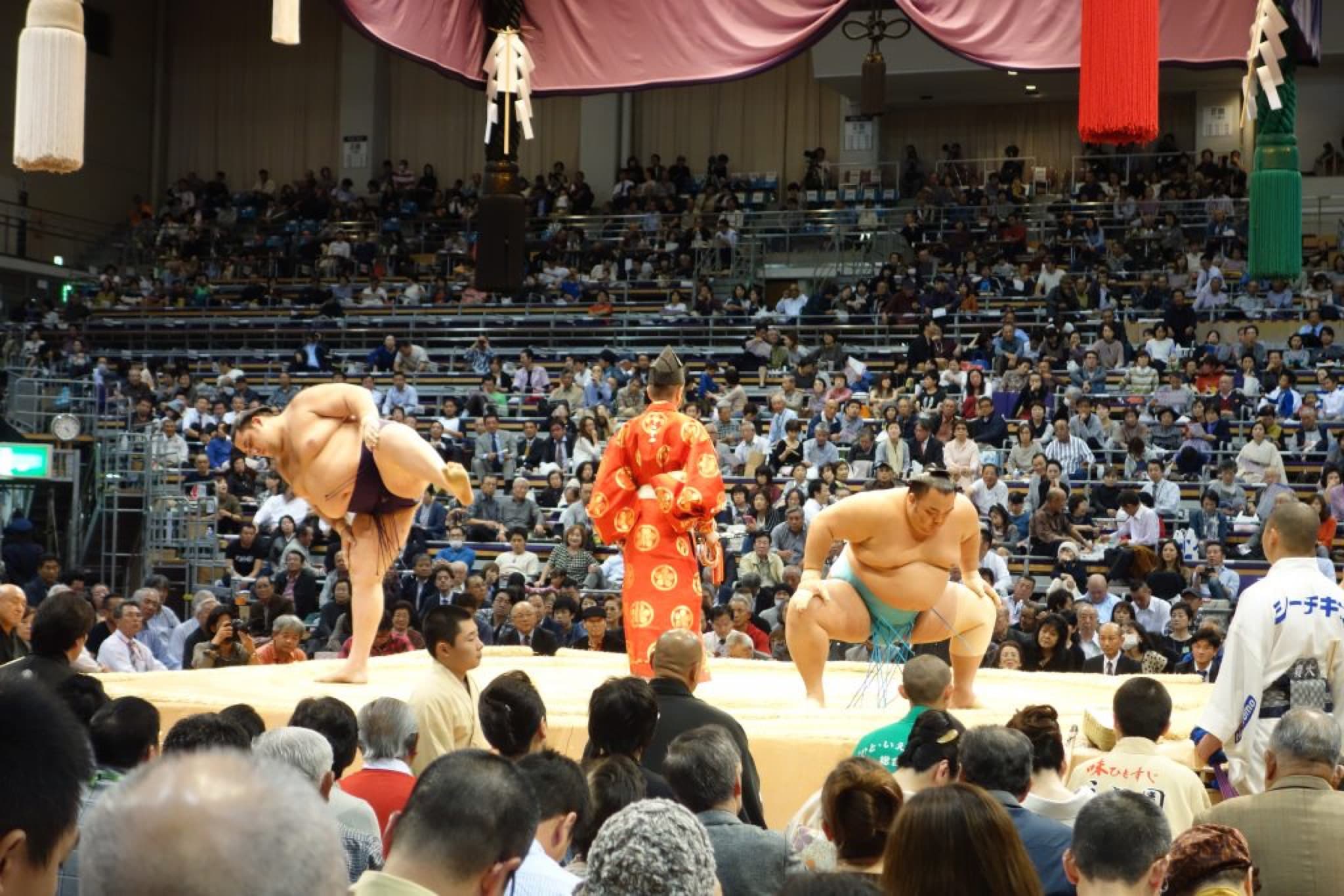 tournoi de sumo