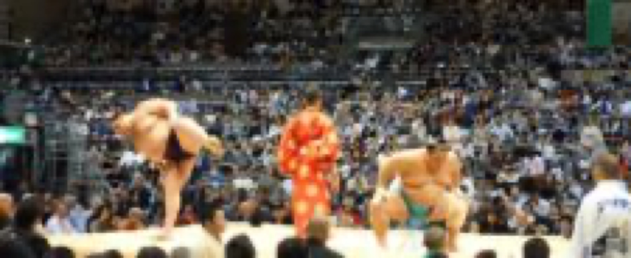 sumo tournoi
