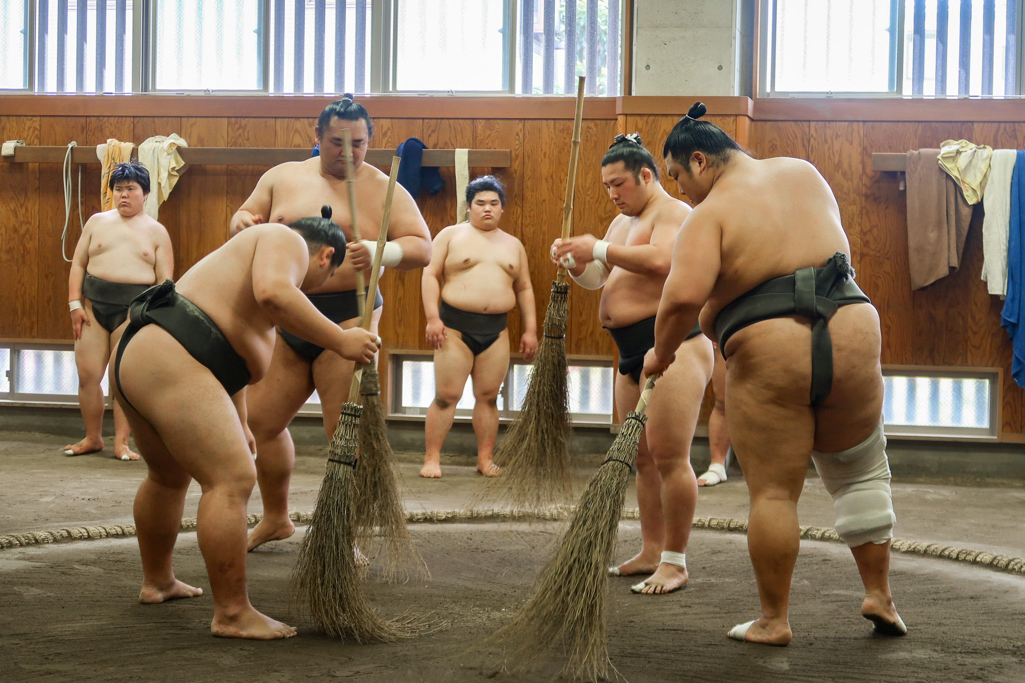 sumo entrainement