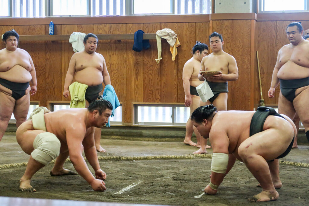 combat sumo entrainement