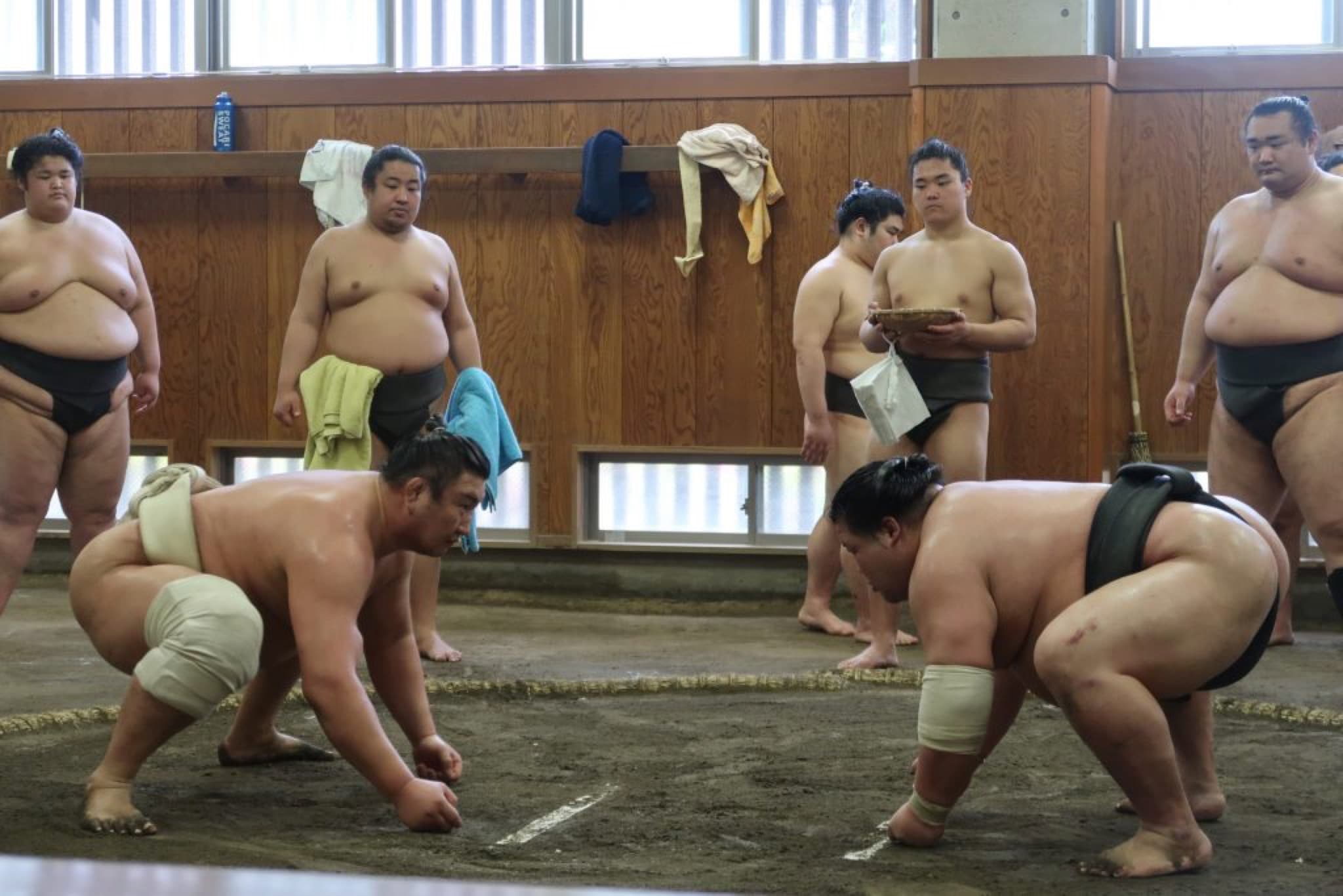 rikishi