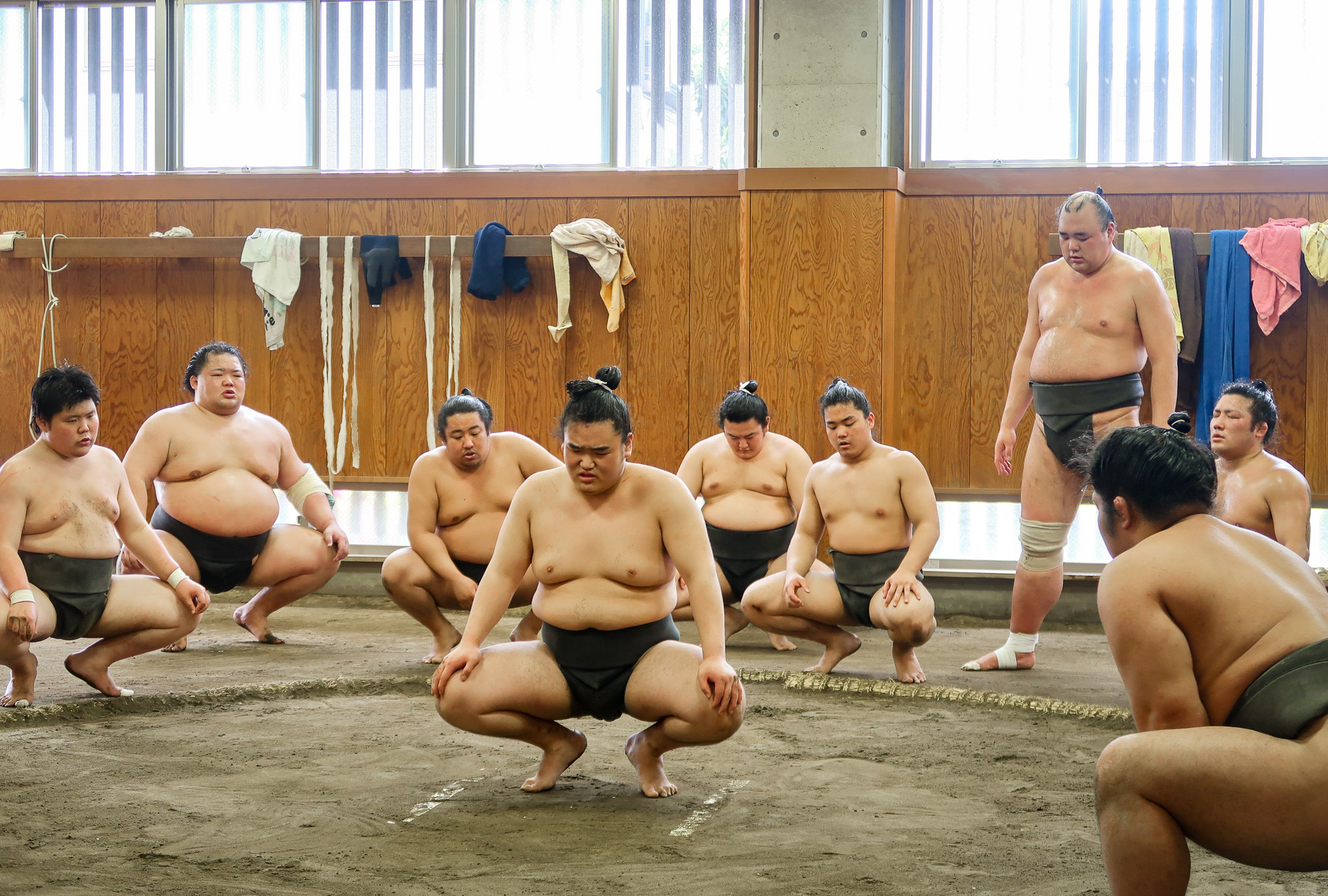 entrainement de sumo