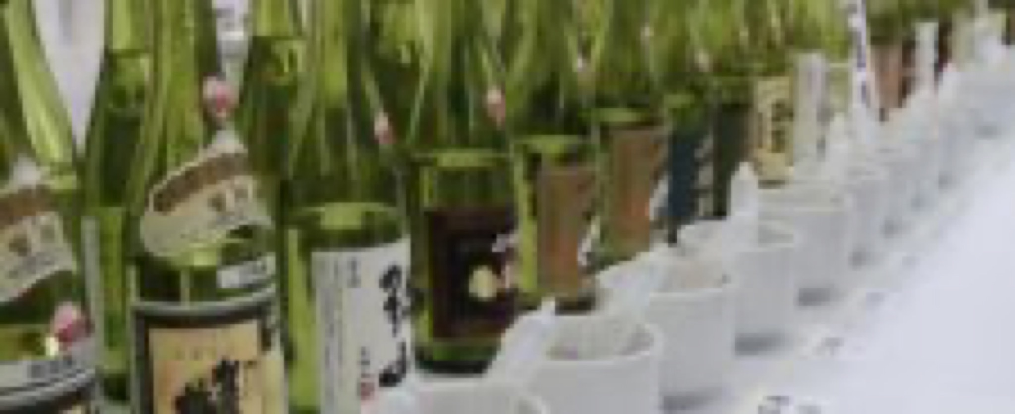 sake japonais