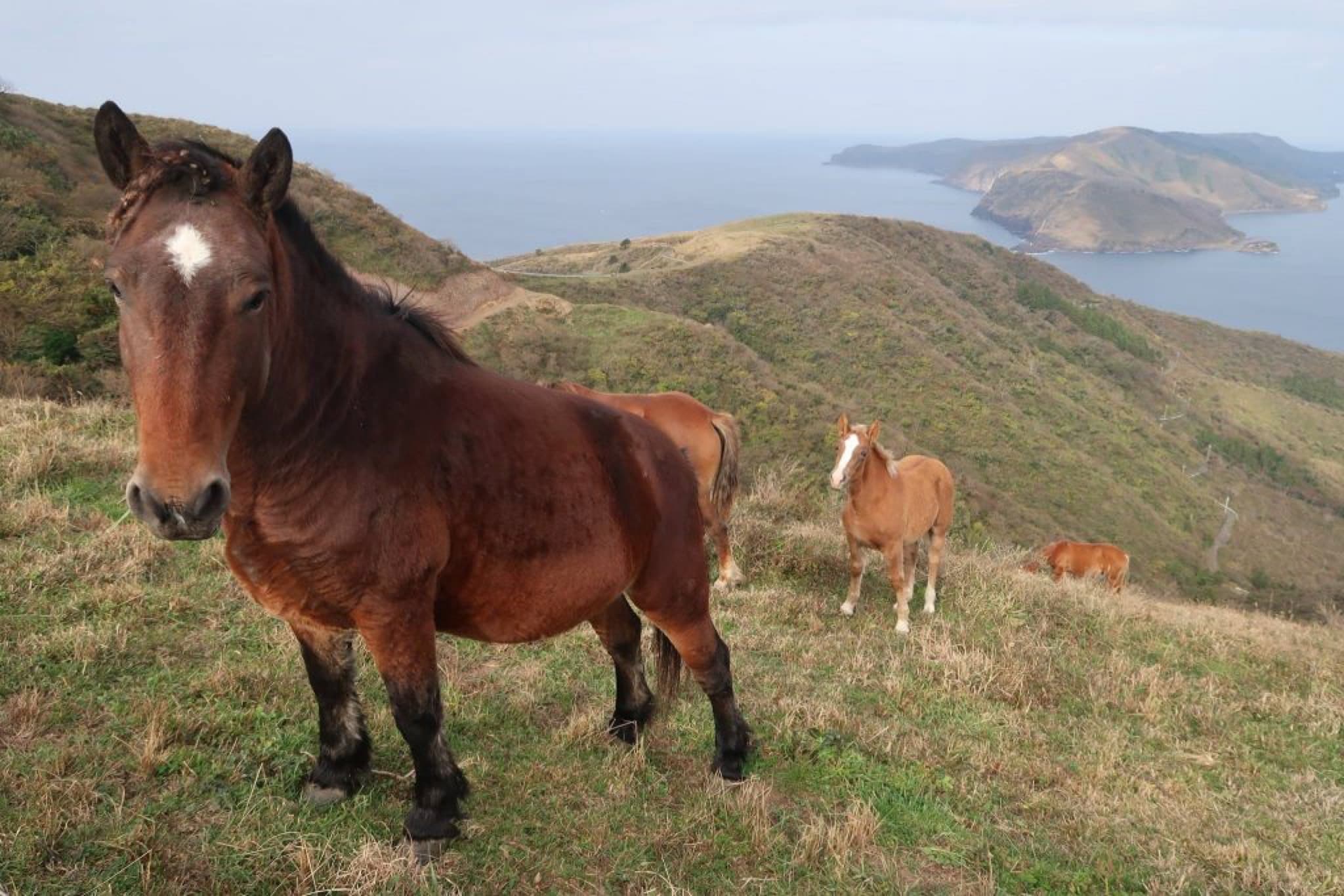 okinoshima