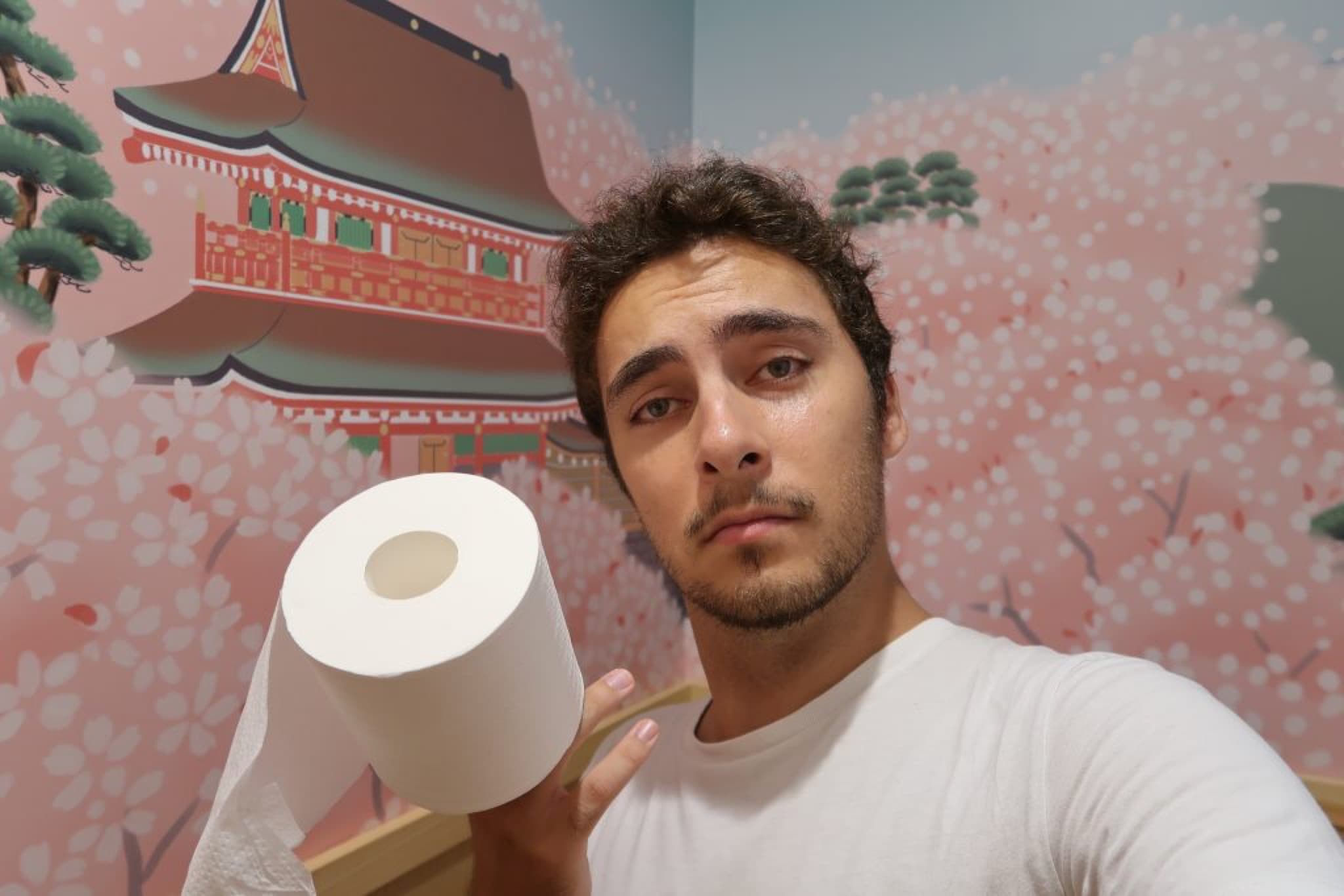 toilettes kabuki