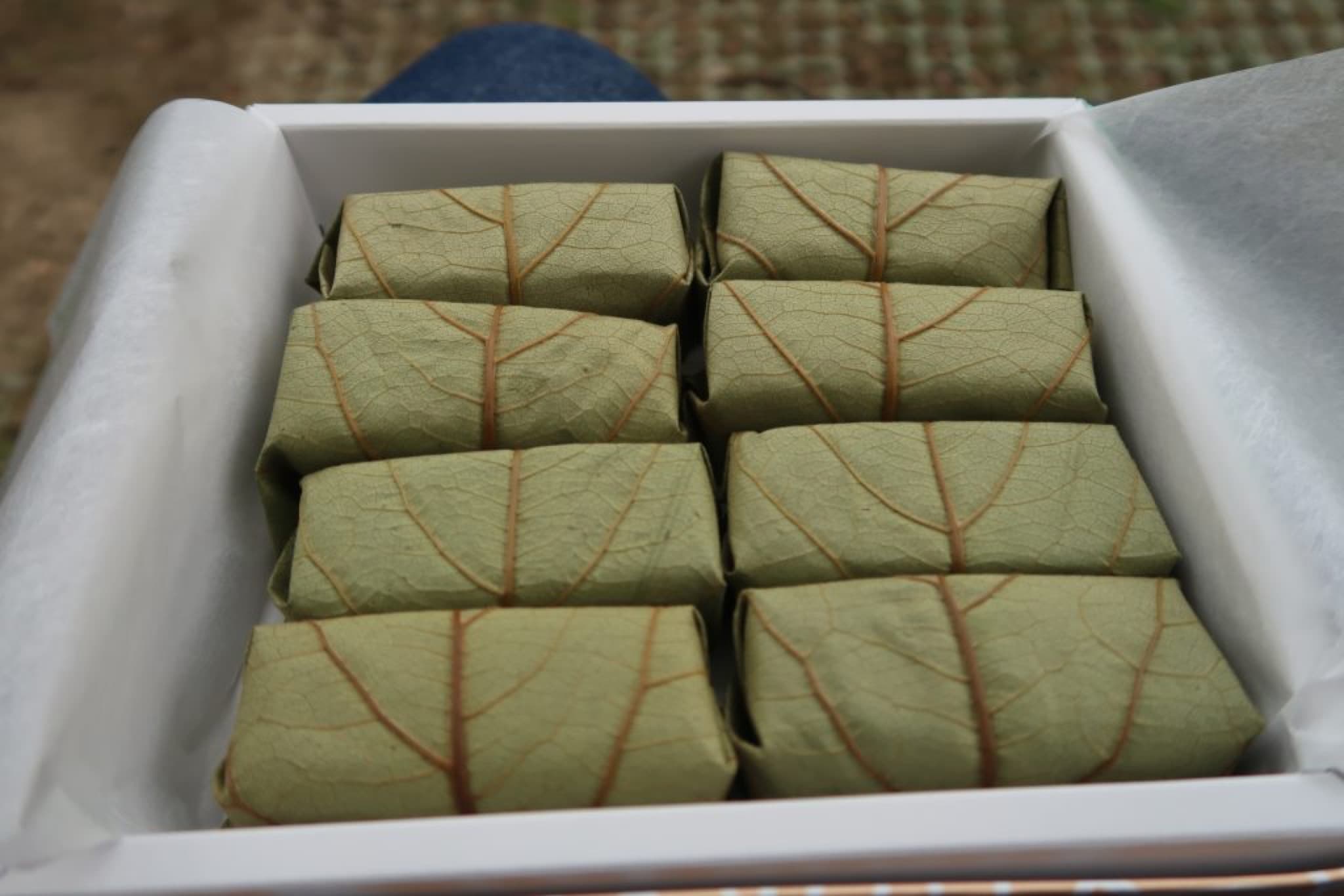 kakinoha zushi