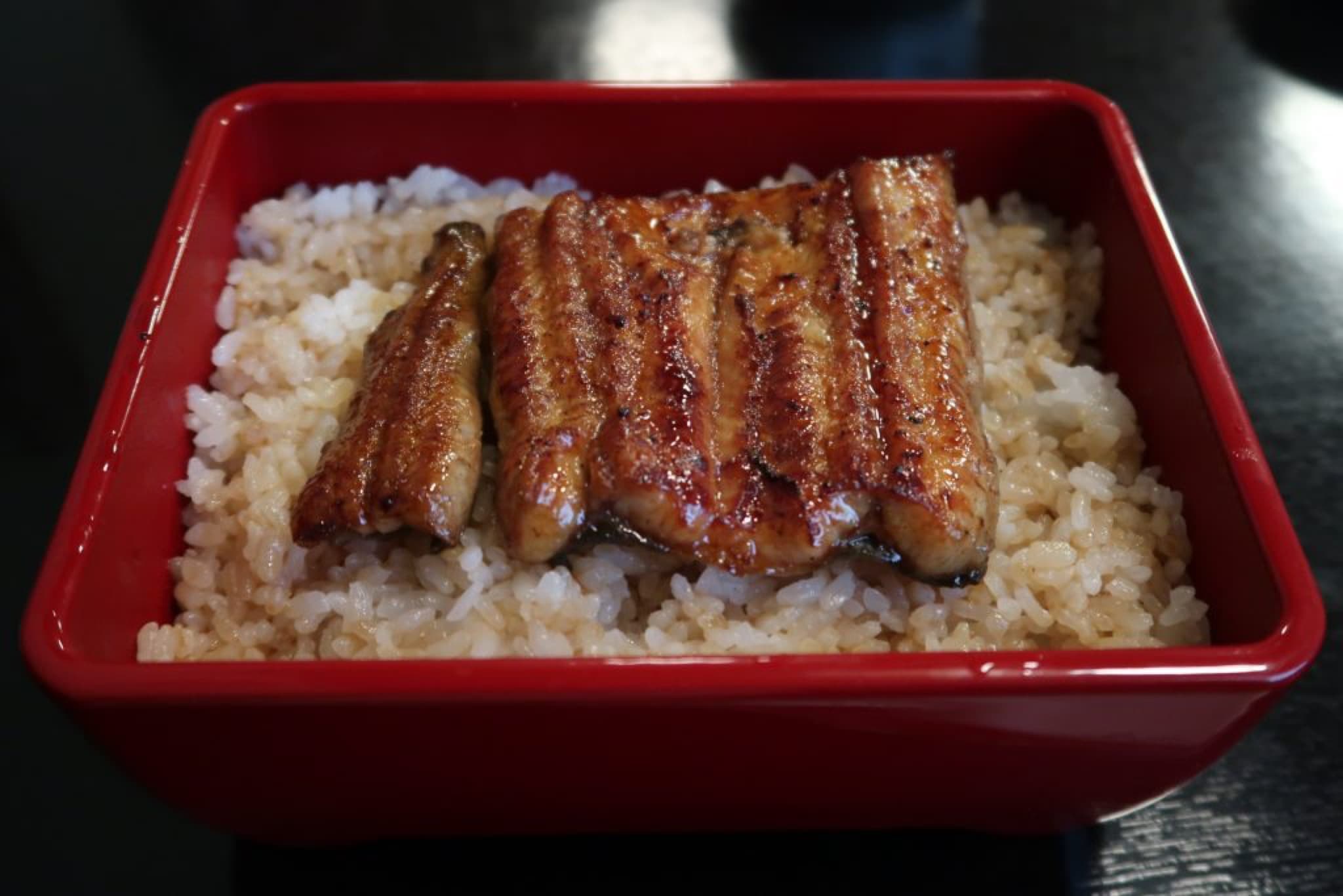 hashimoto unagi