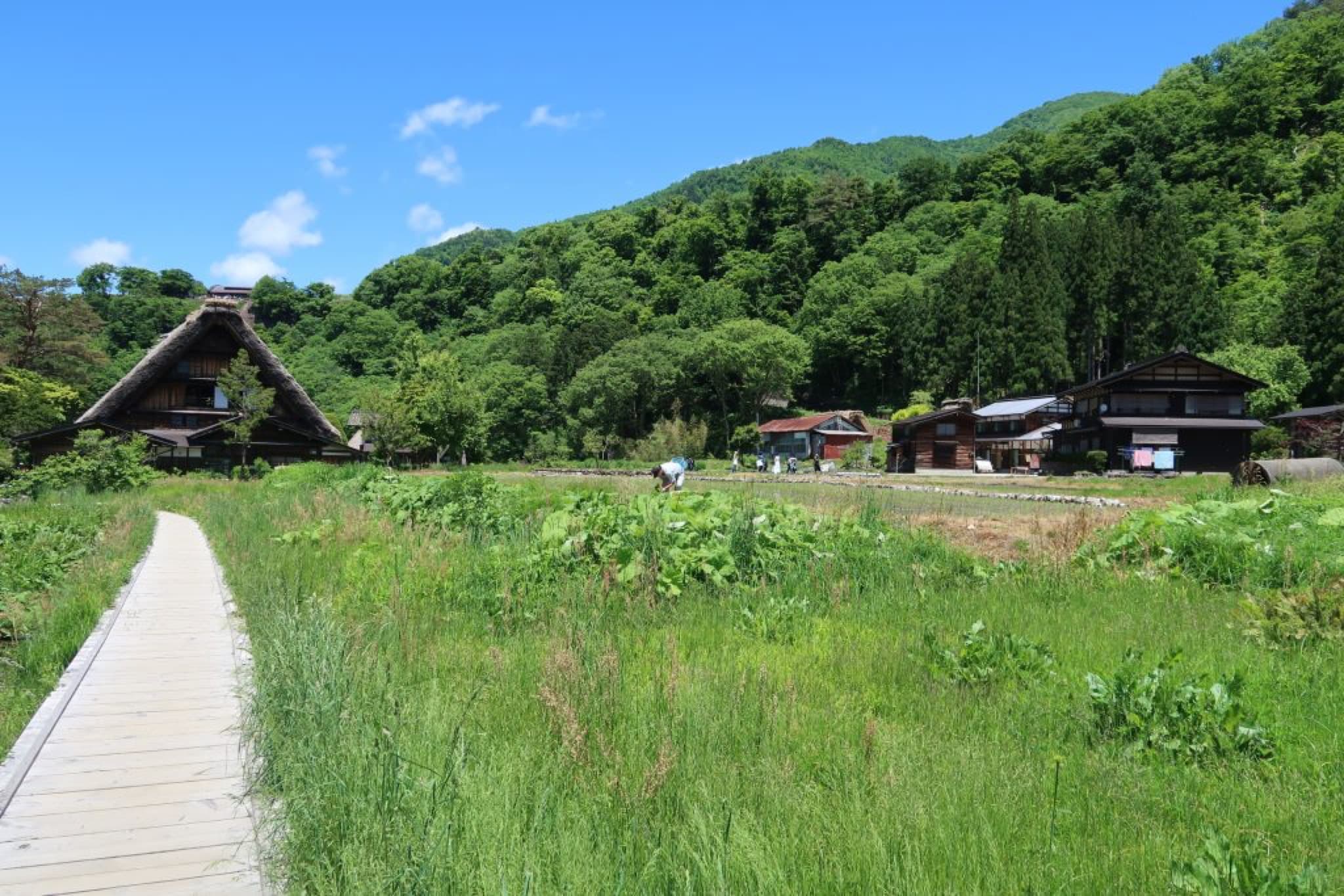 shirakawa-go