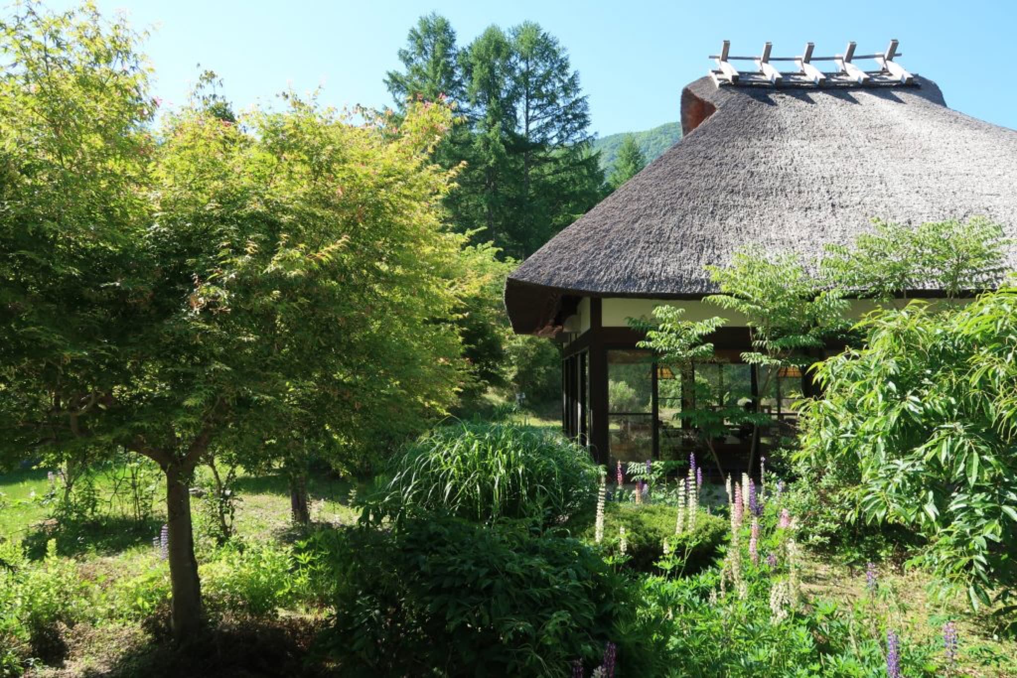 nagano hotel
