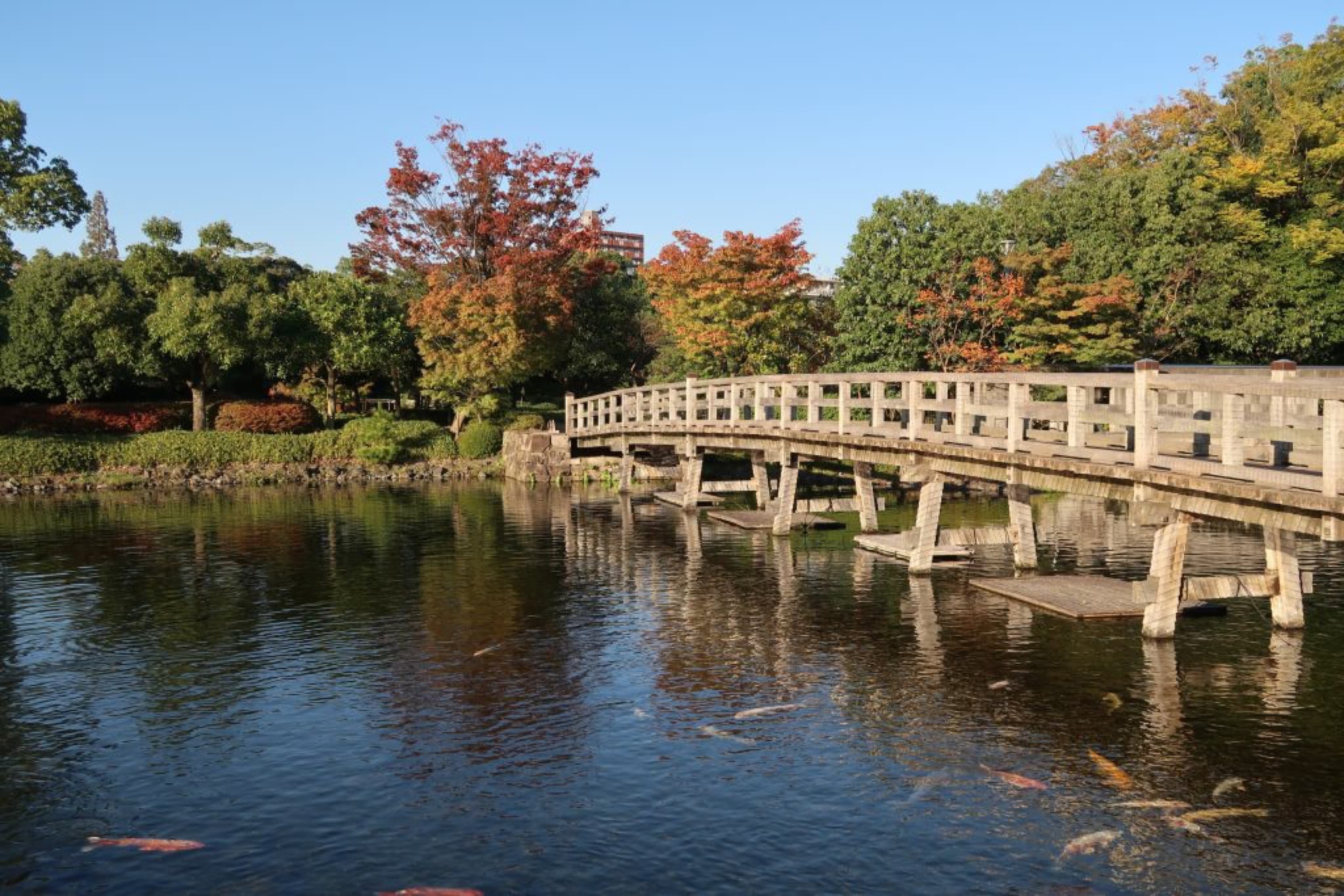 shirotori teien