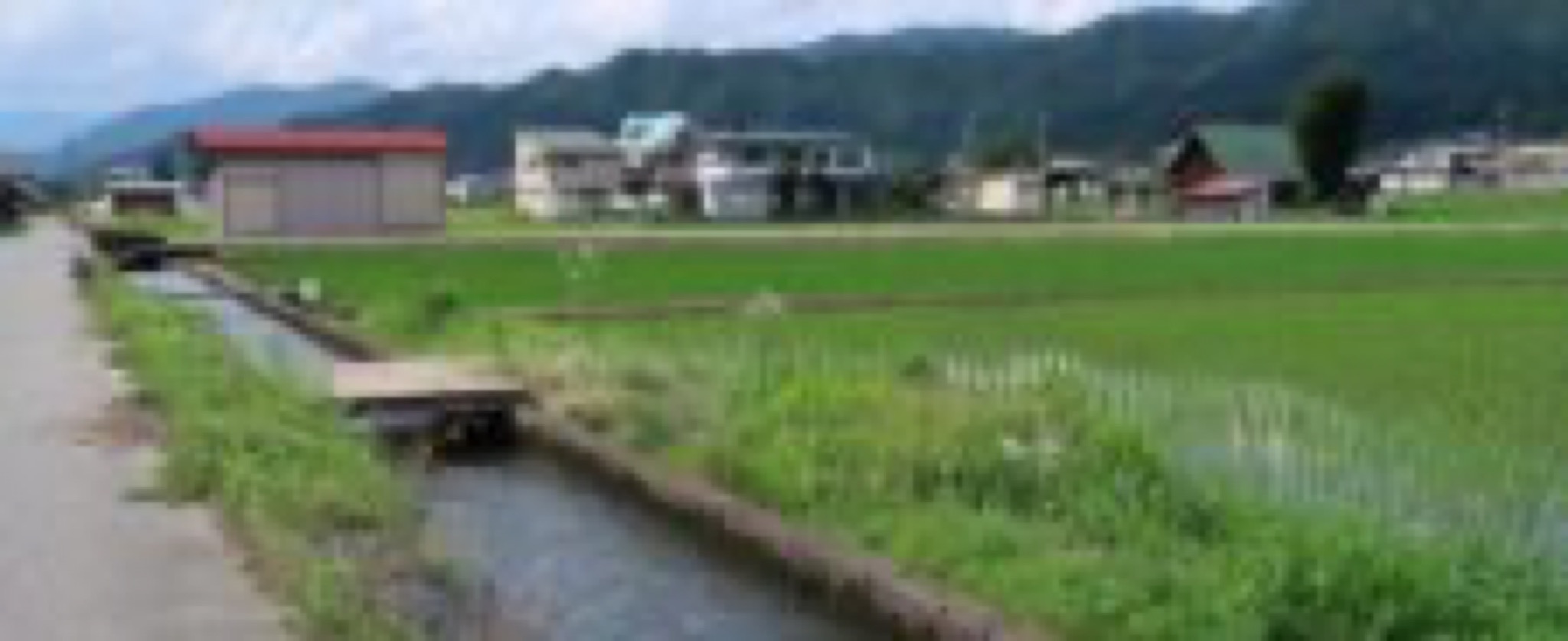 campagne japonaise gifu