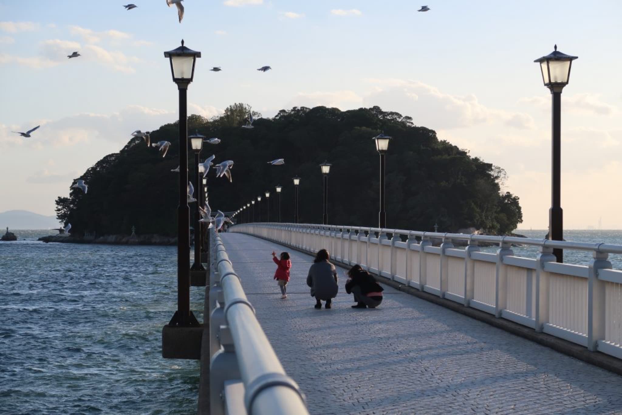 gamagori takeshima