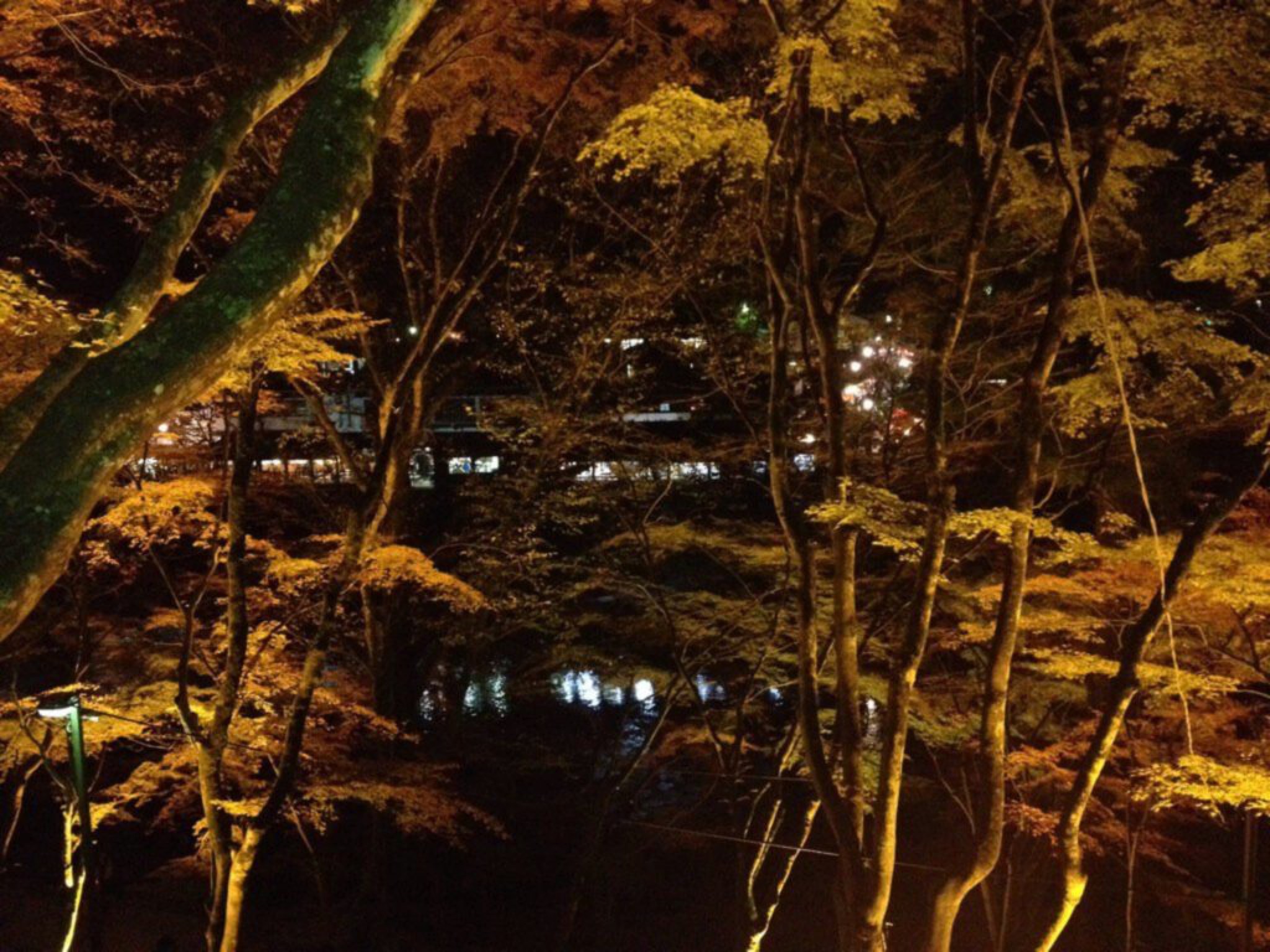 korankei nagoya