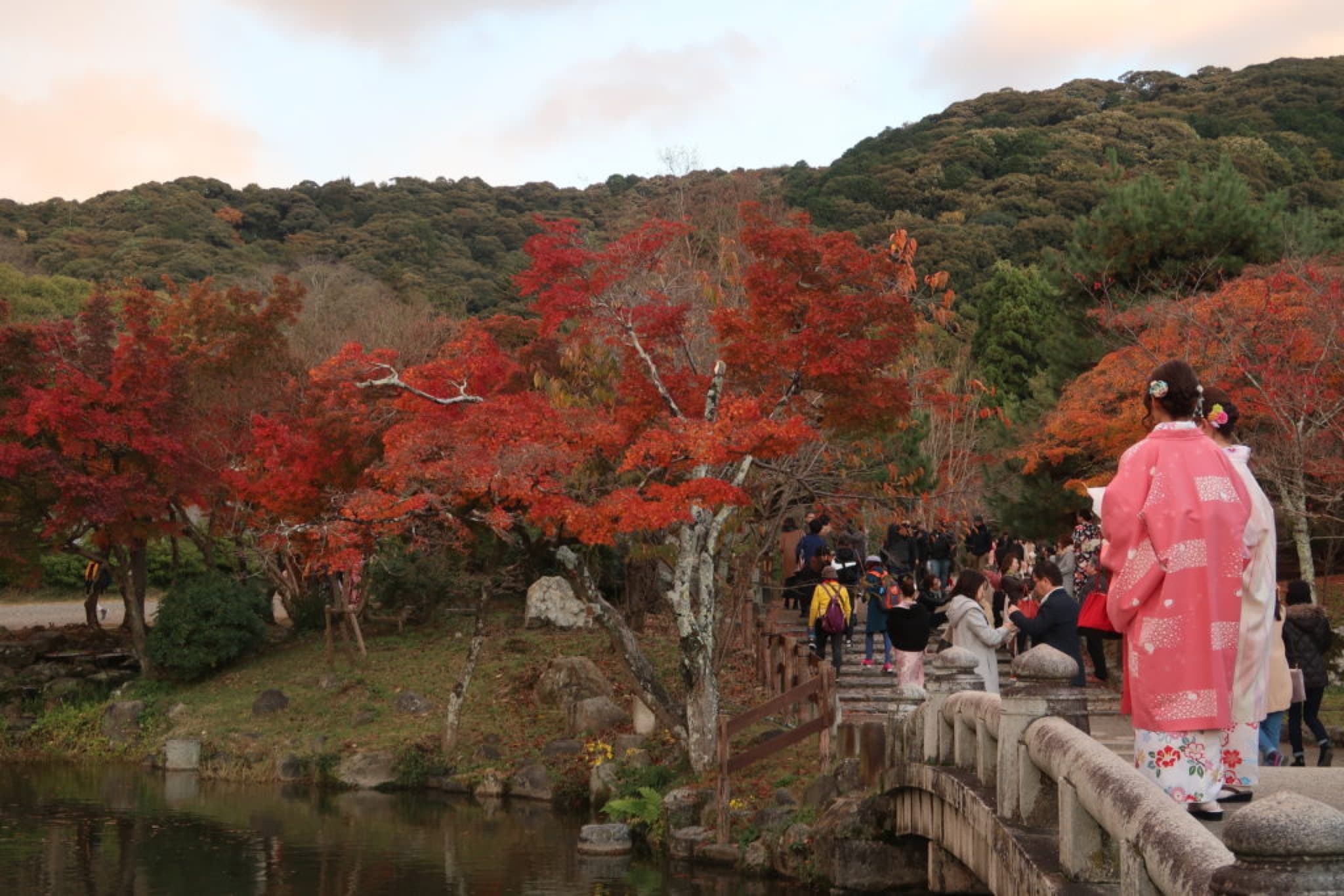maryuama parc kyoto