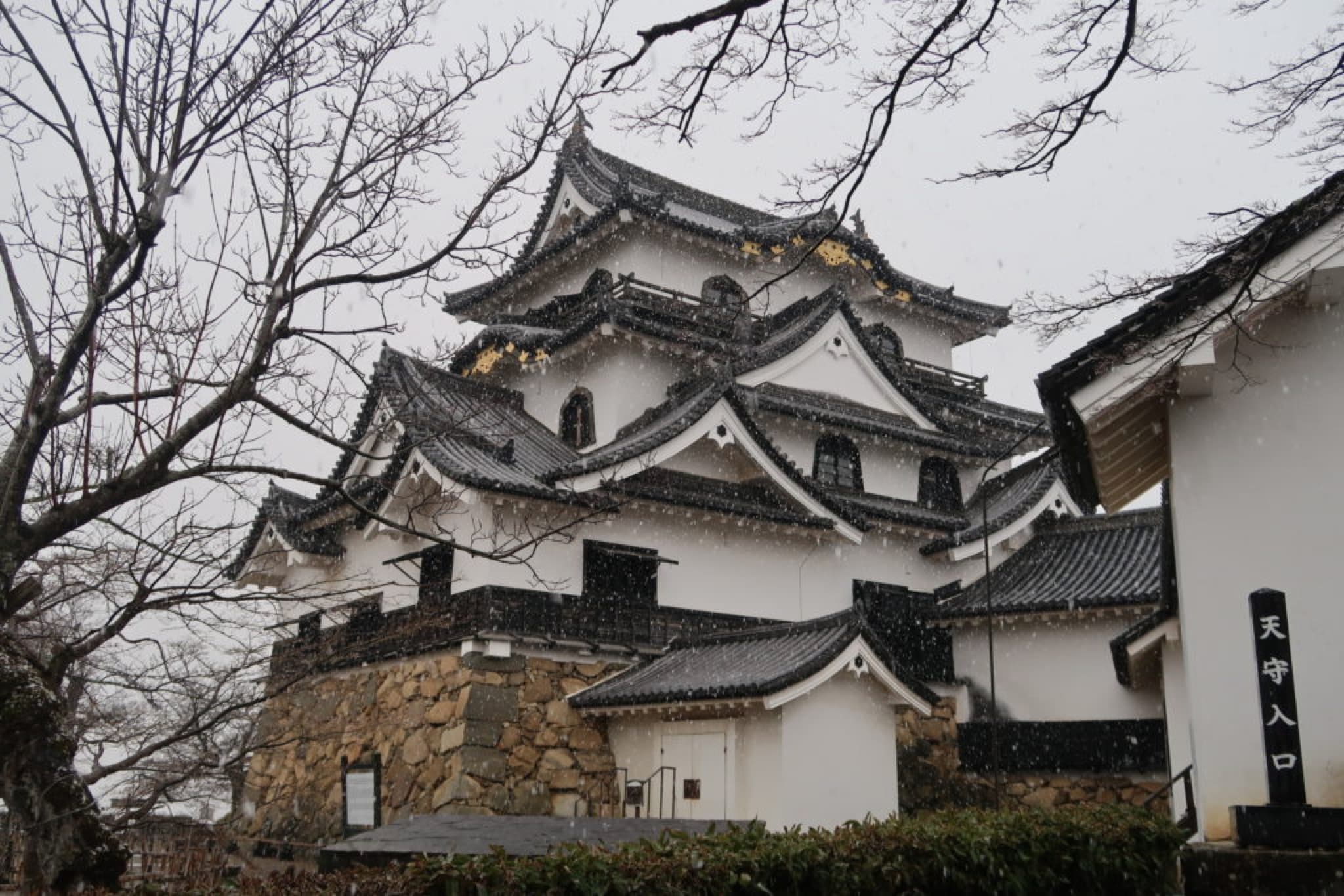 chateau hikone