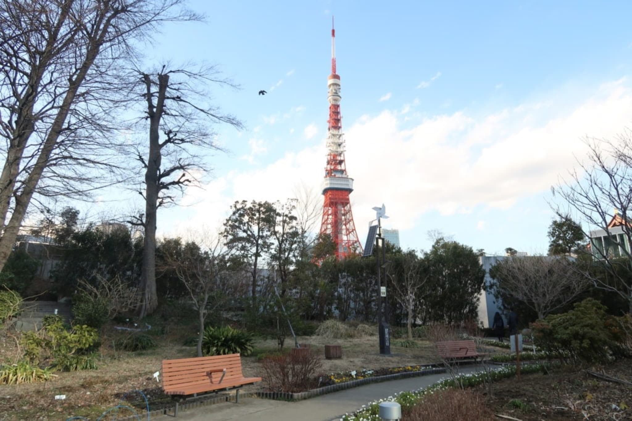 shiba koen