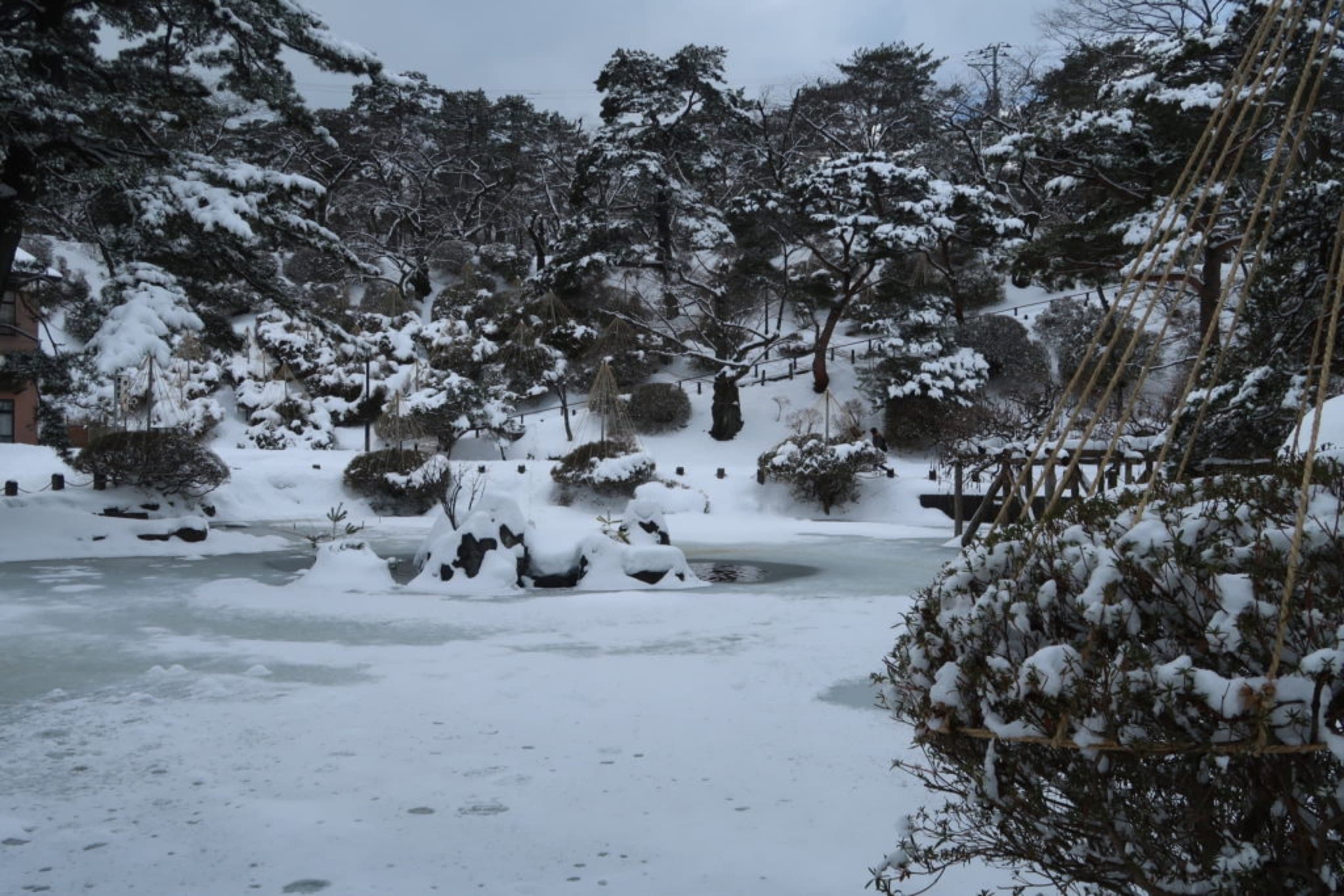 senshu koen