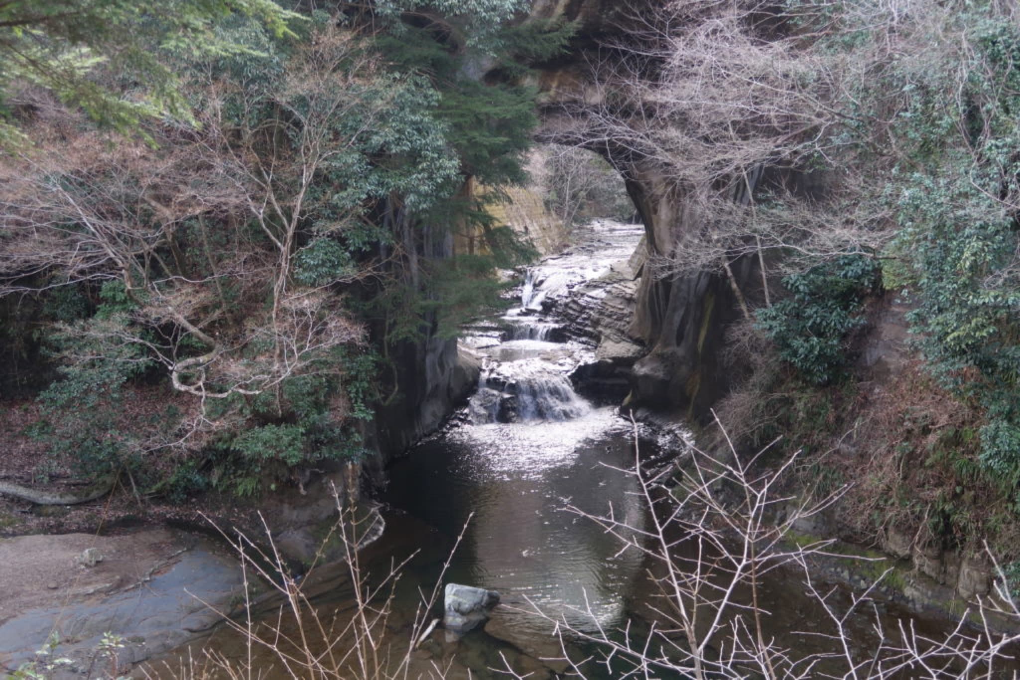 kameiwa chiba