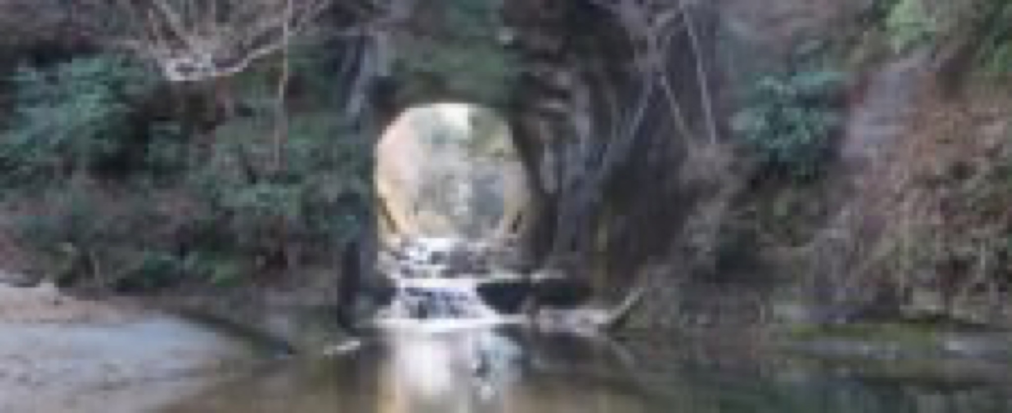 kameiwa cave