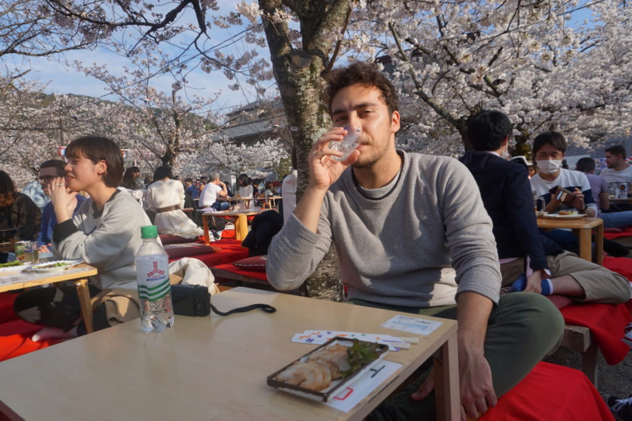 hanami à kyoto