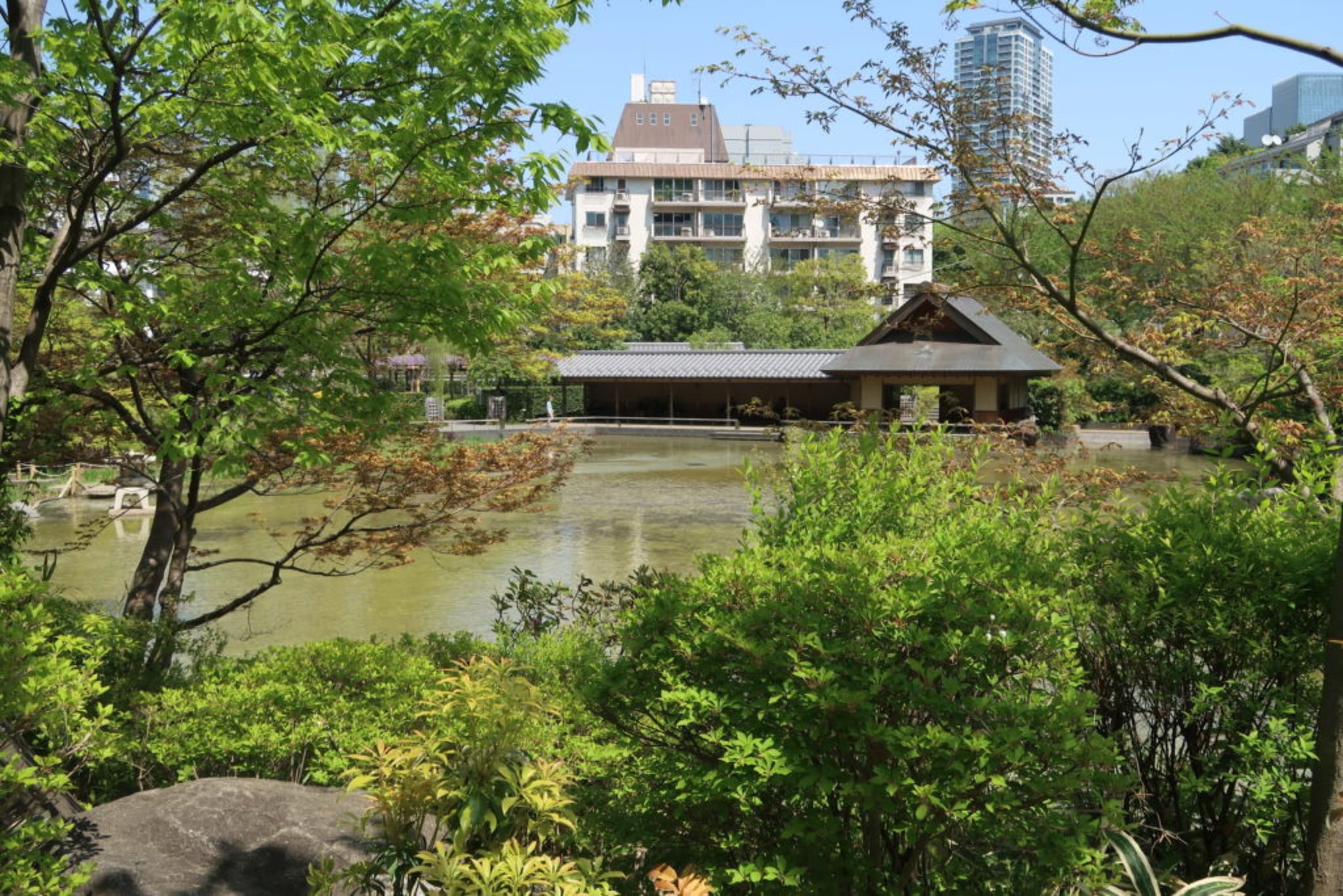 hinokicho
