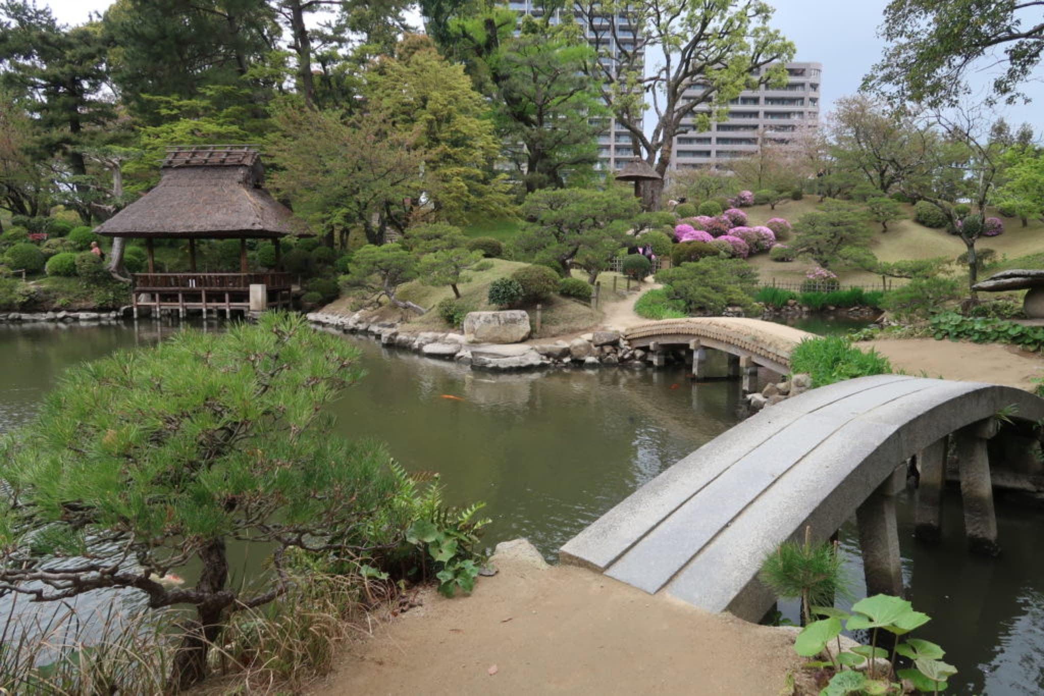 hiroshima shukkeien