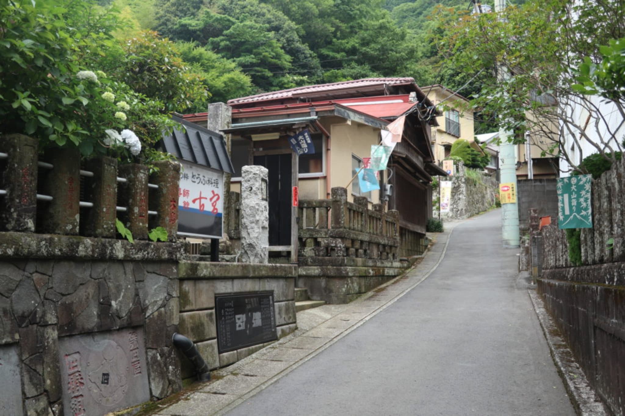 tofu dori oyama