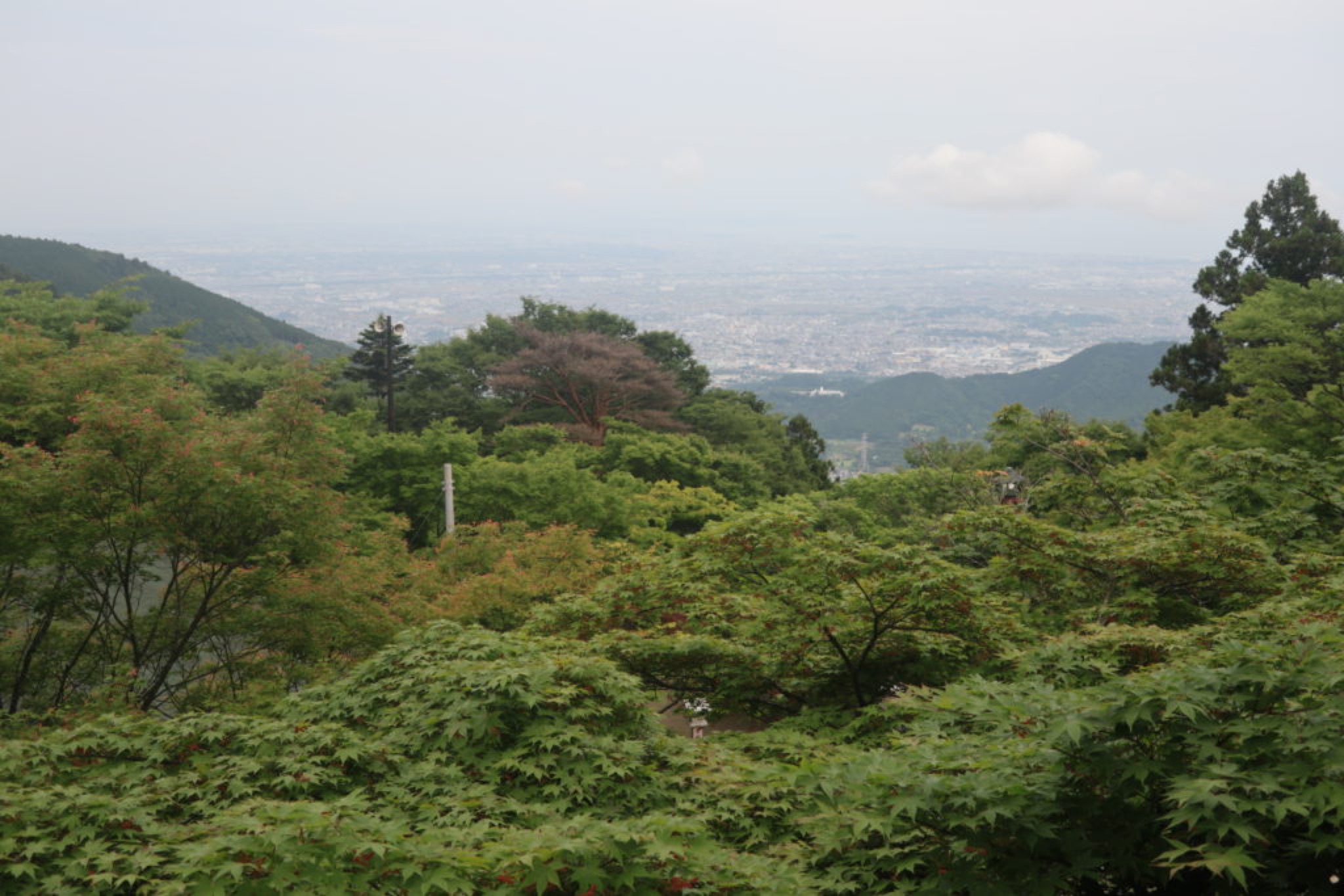 vue oyama