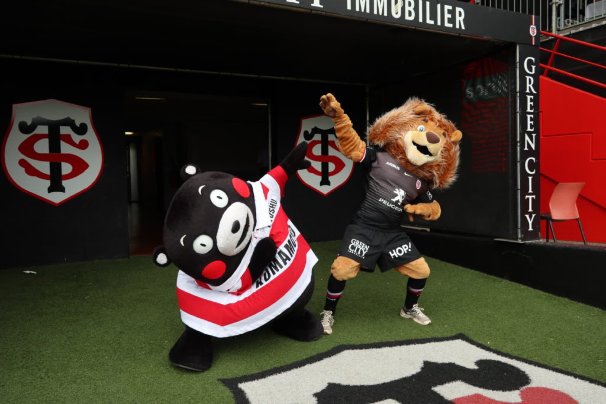 kumamon ovalion