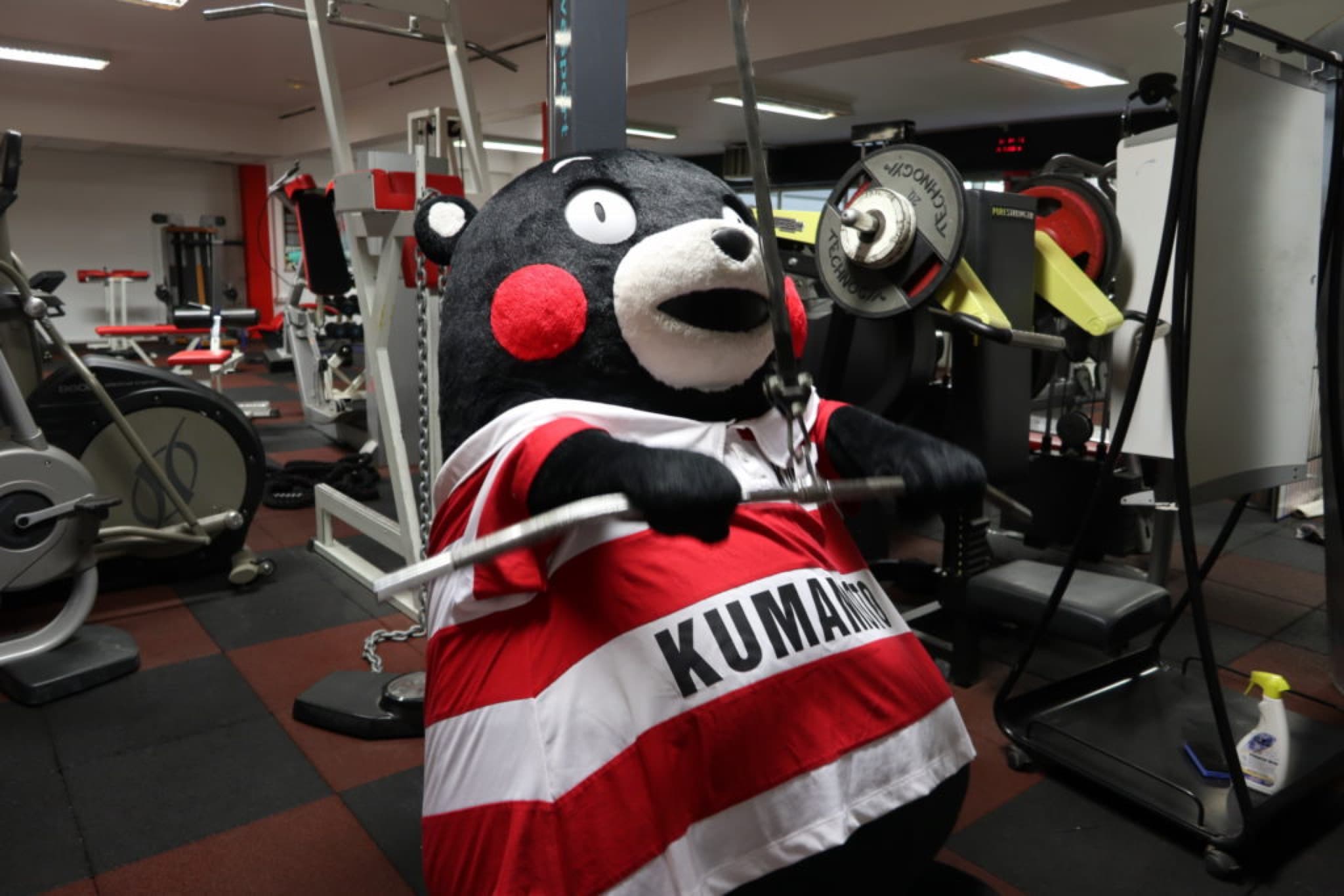 kumamon rugby