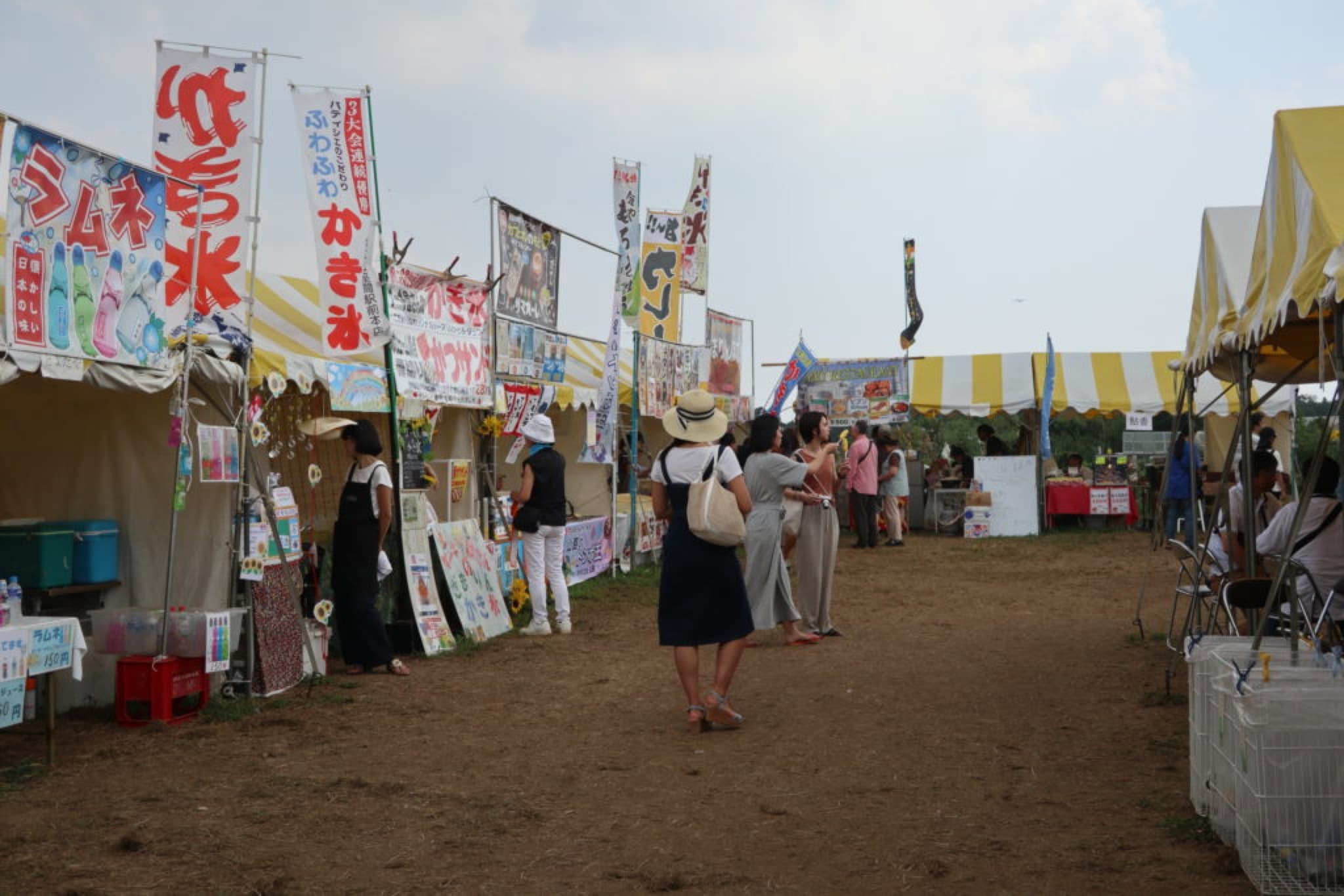 matsuri himawari