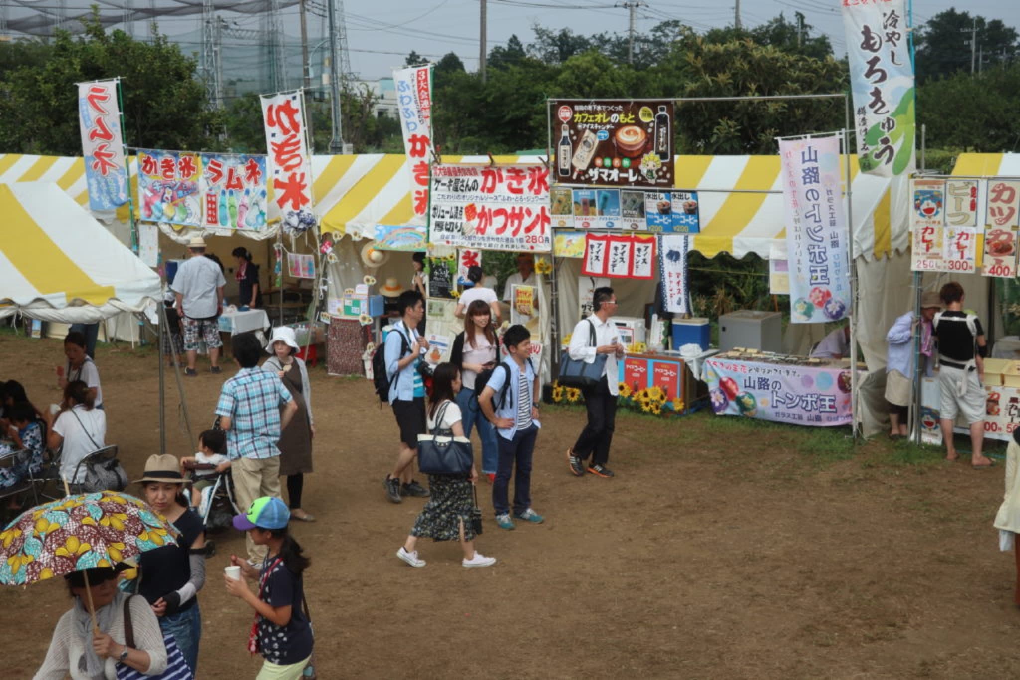 zama himawari matsuri