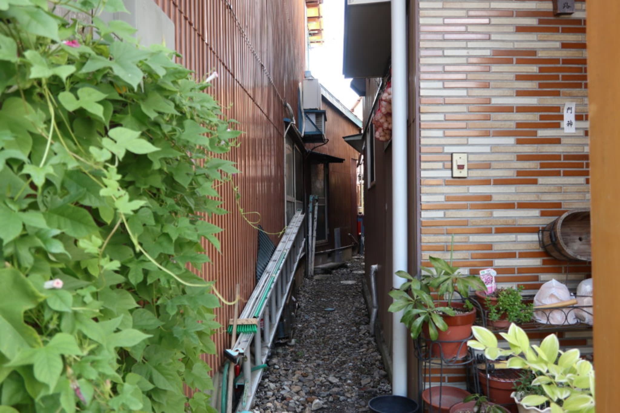 kinkotsu meguri