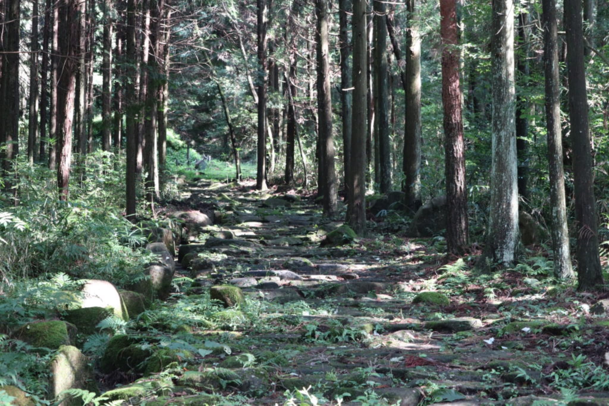 hosokute juku