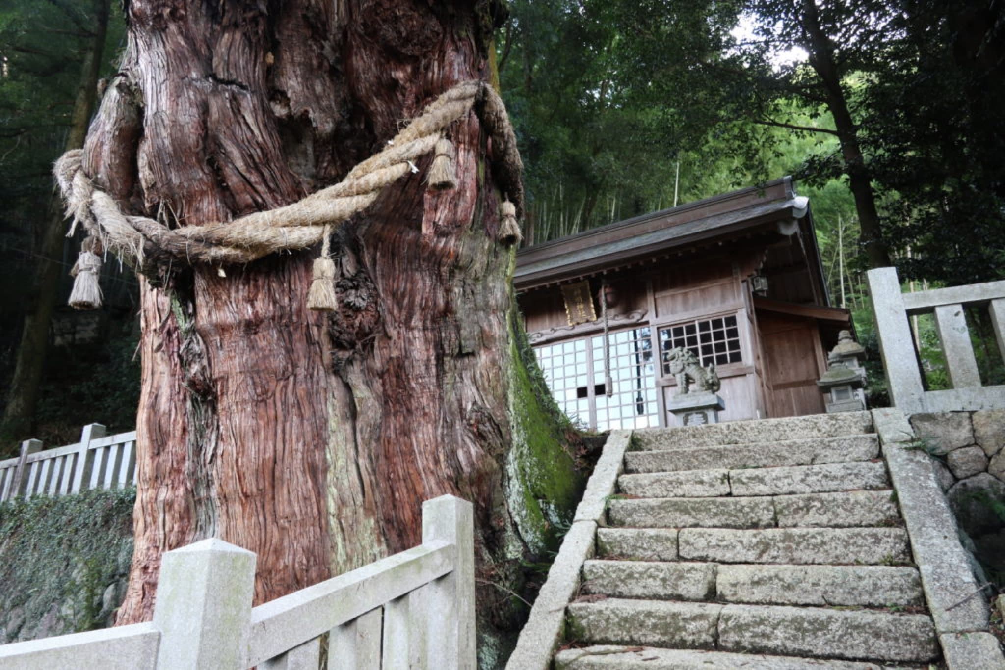 okute-juku