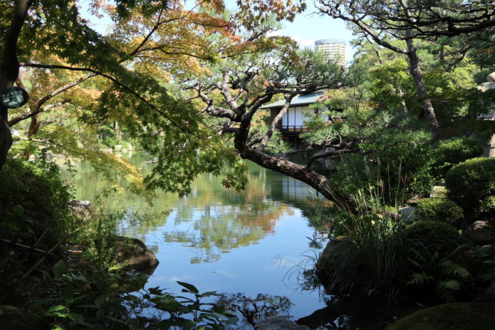 kobe sorakuen