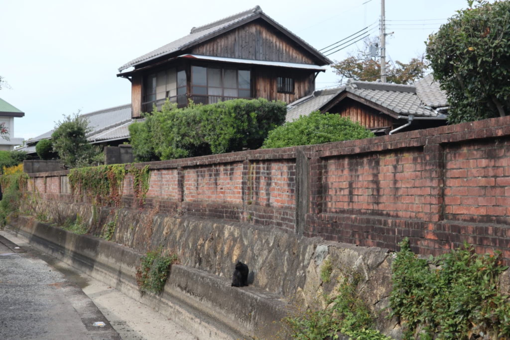 kakogawa nikke