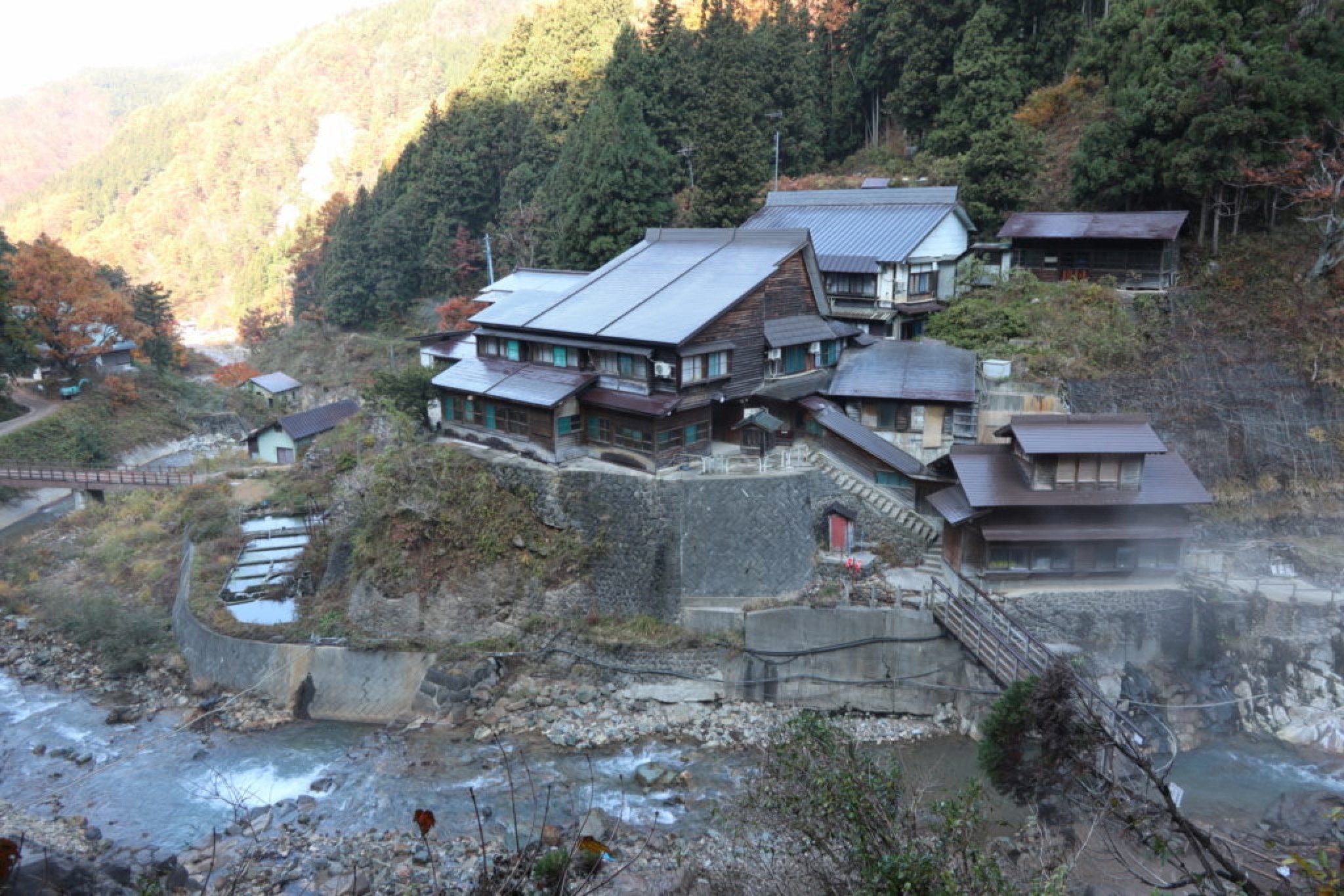 nagano jigokudani