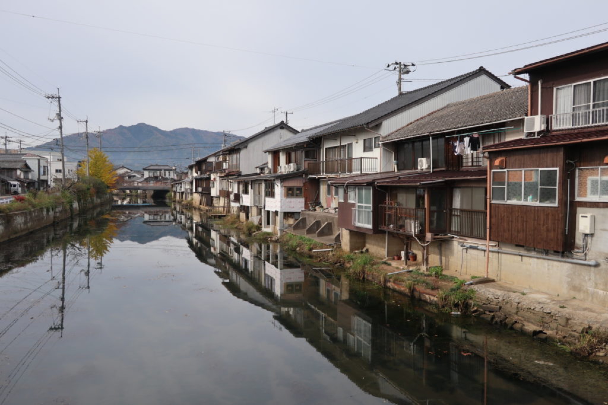 momen kaido izumo