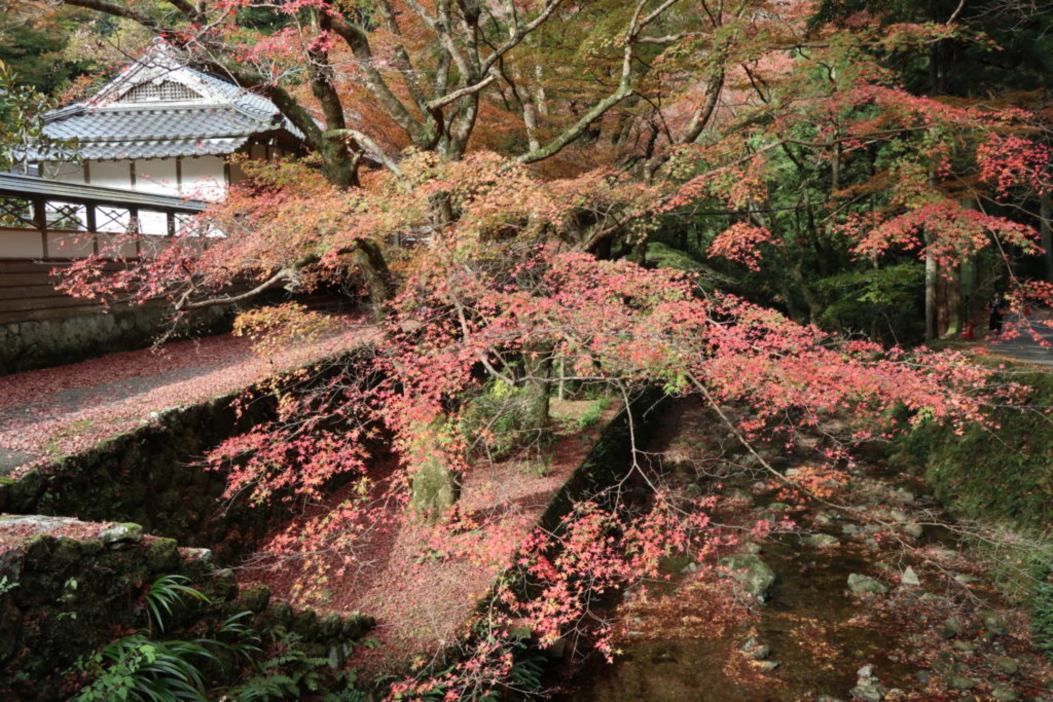 temple gakuenji