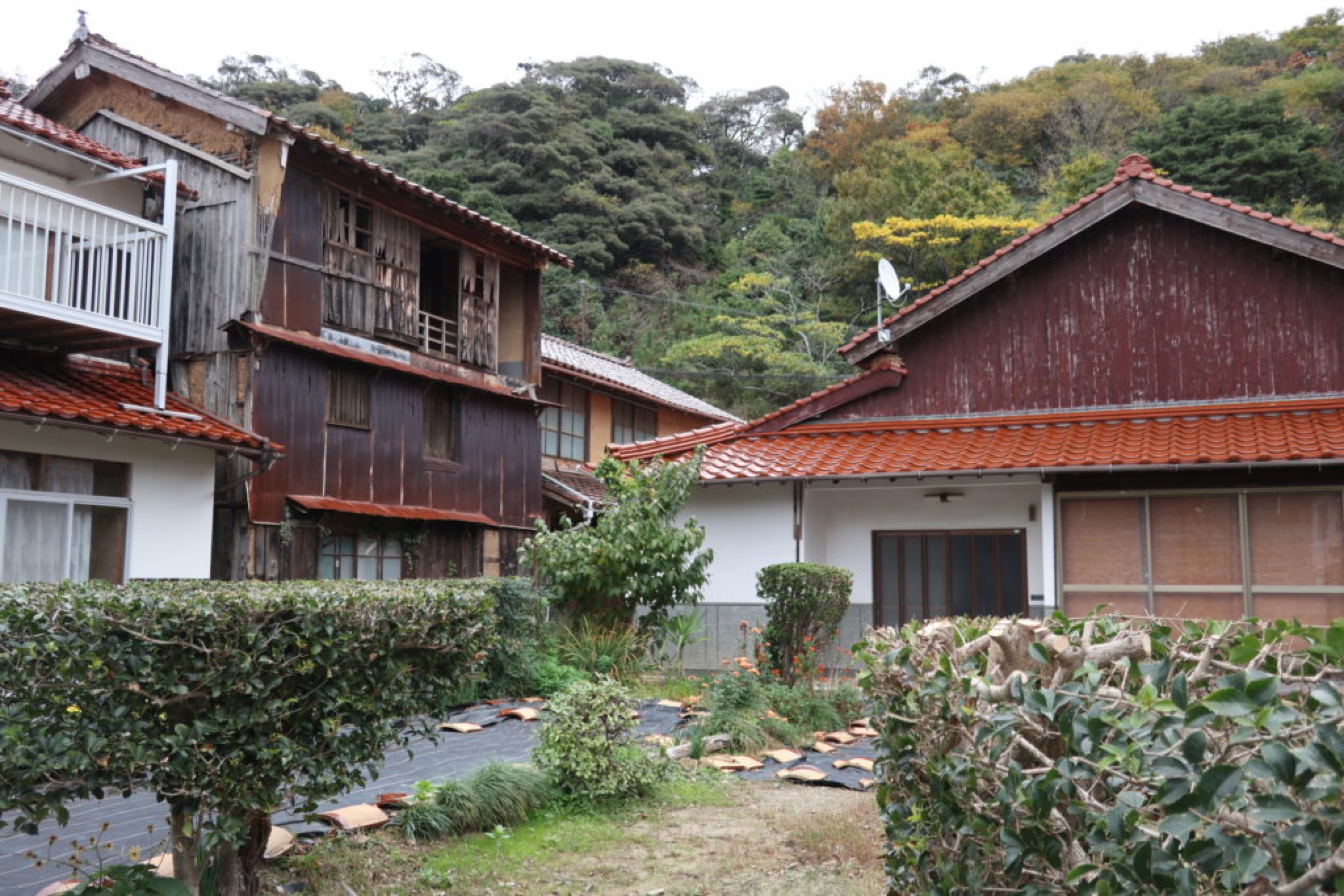 sagiura izumo